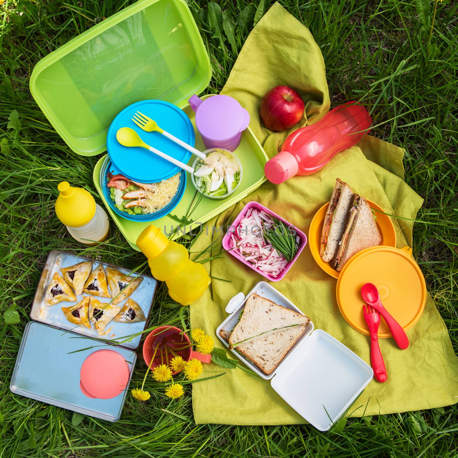 Top view of various picnic food at outdoor