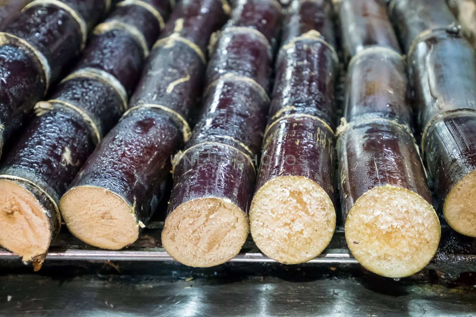 The close up of Taiwanese grilled sugarcane at food street night market in Taipei, Taiwan.