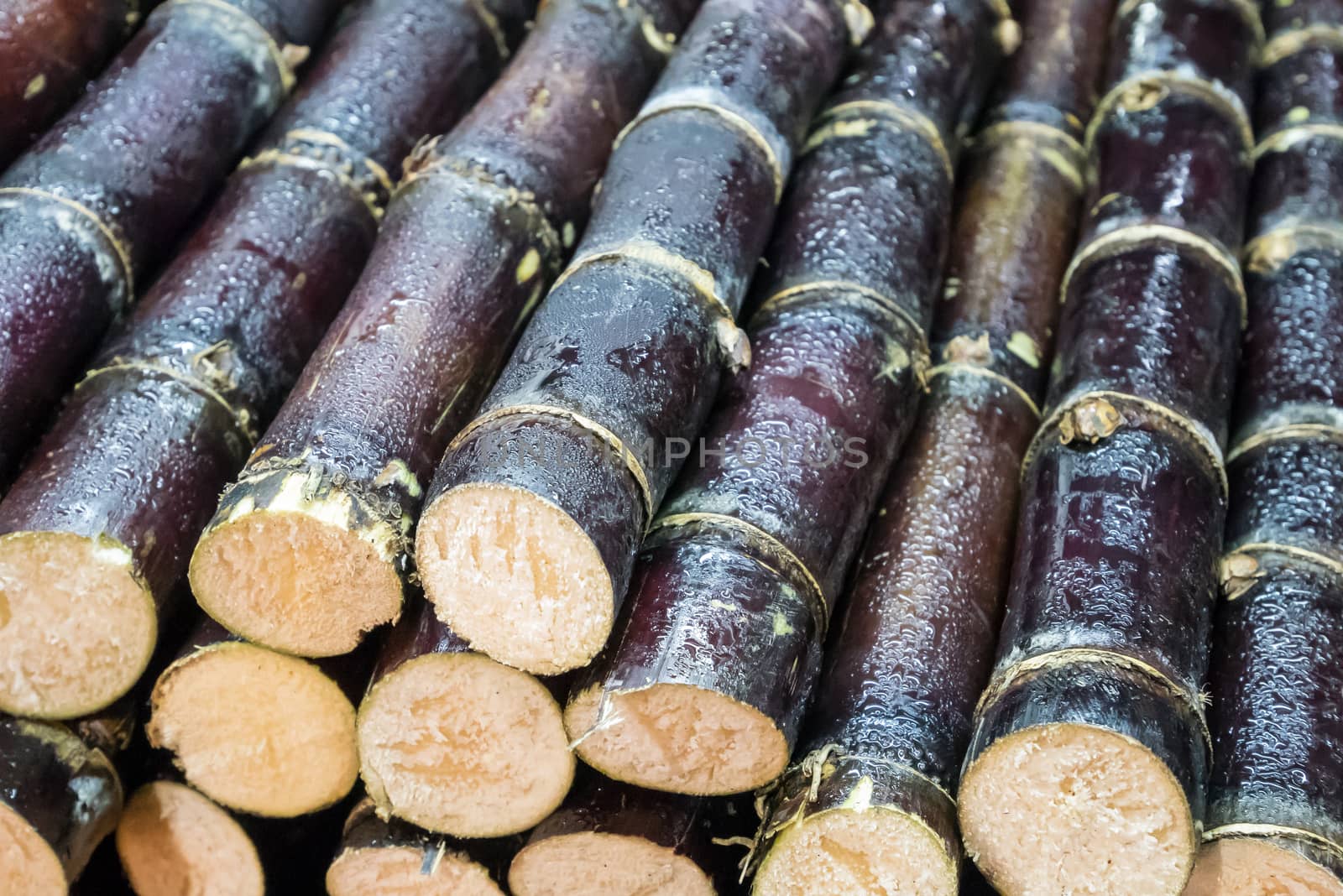 The close up of Taiwanese grilled sugarcane at food street night market in Taipei, Taiwan.