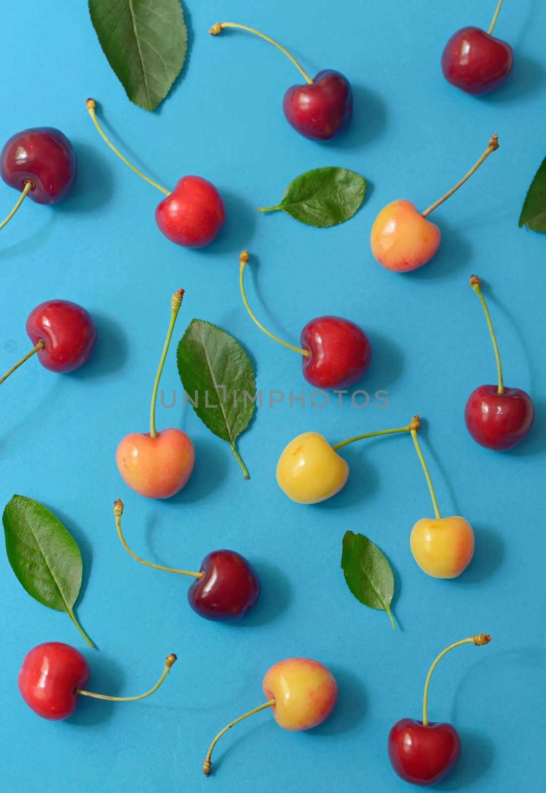 Abstract cherry isolated on blue paper