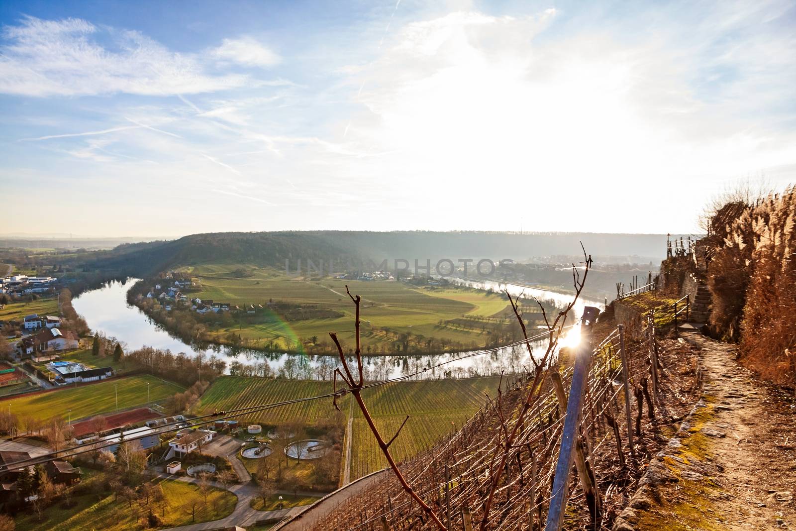 Hessigheim, Germany - December 27, 2015: Neckar loop in Hessigheim - panorama in the vineyards