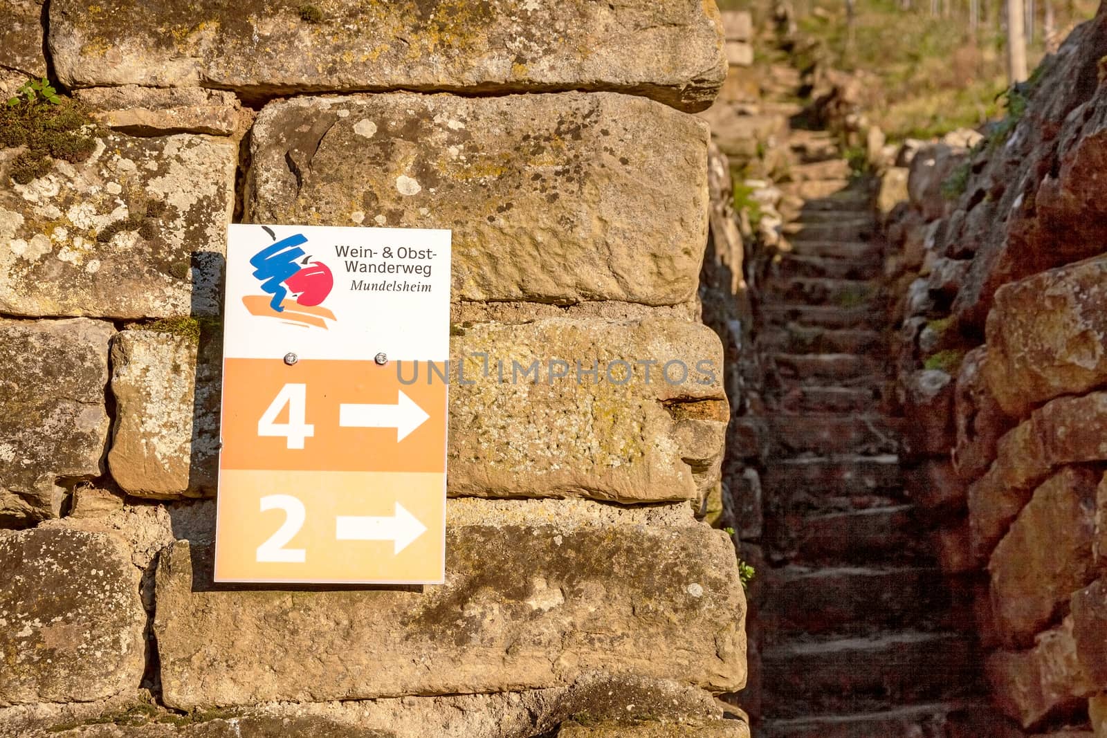 Hessigheim, Germany - December 27, 2015: Wine and fruit hiking trail (Wein- & Obstwanderweg Mundeslheim) sign in the vineyards near Hessigheim