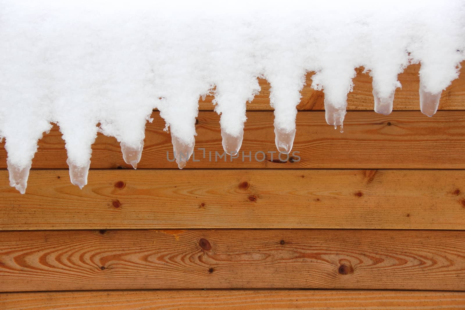 Melting show and icicle with pinewood background