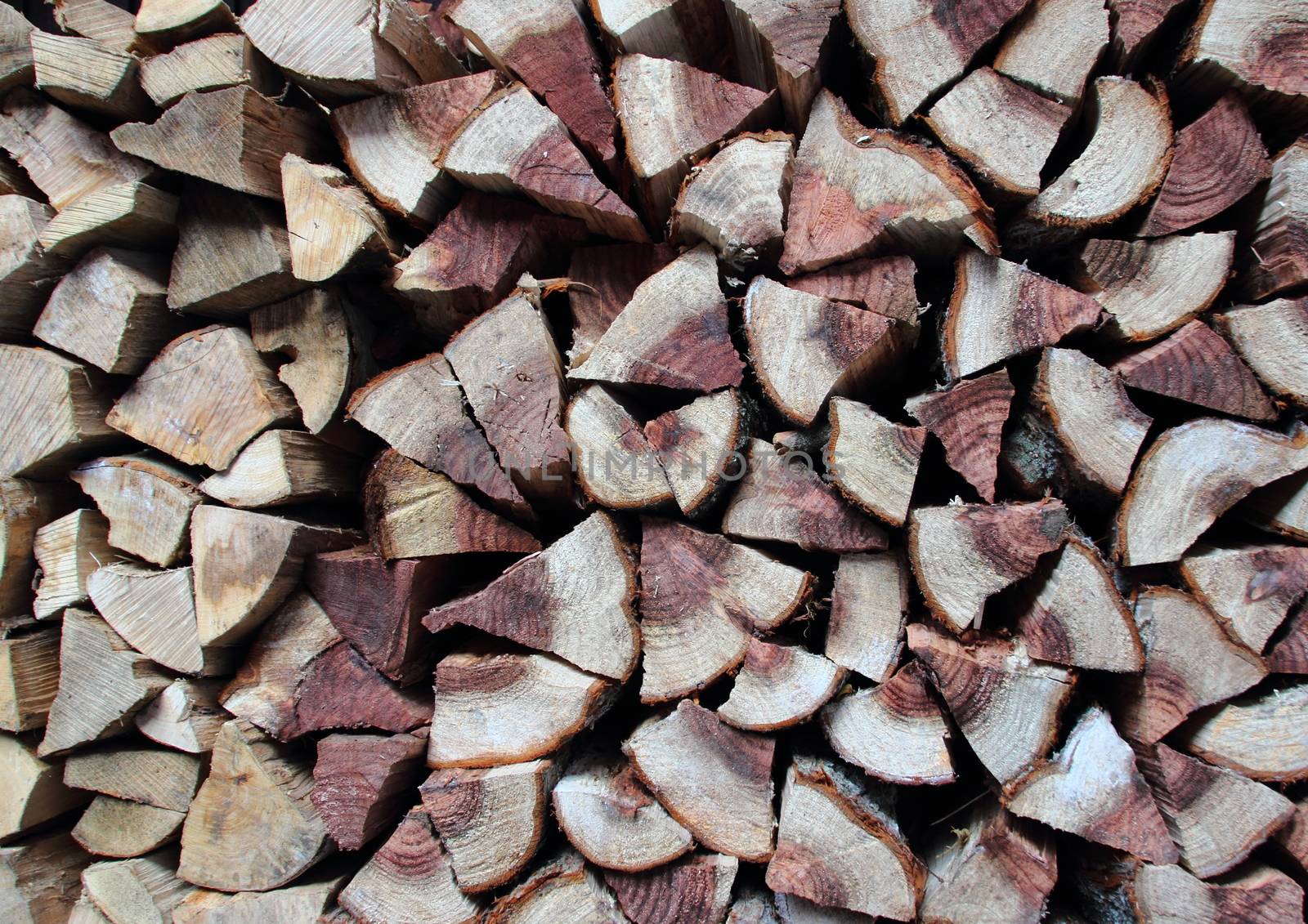 Pile of fire wood with two colors