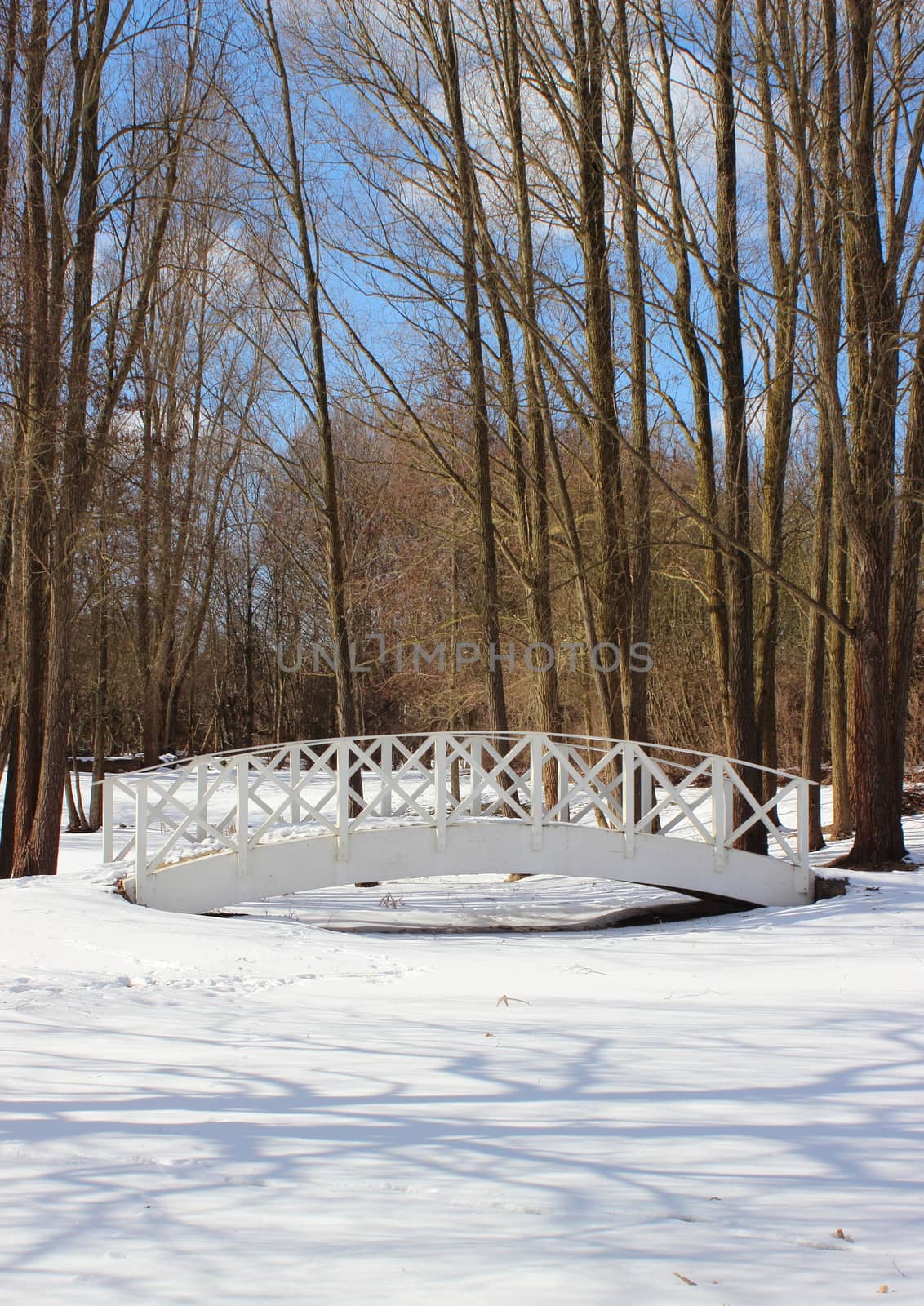 Wooden white bridge over snowy frozen water