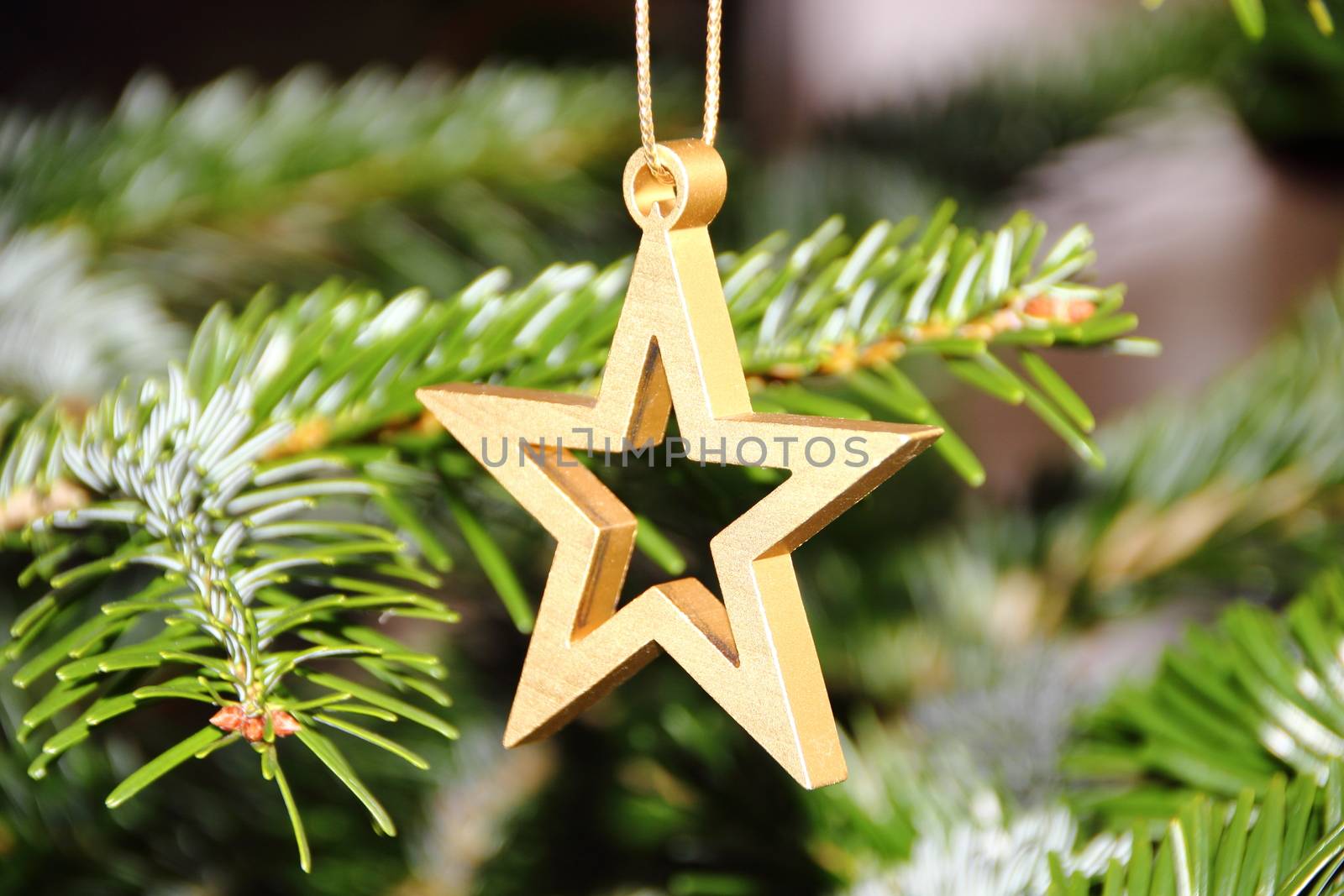 Golden metal star on christmas pine tree