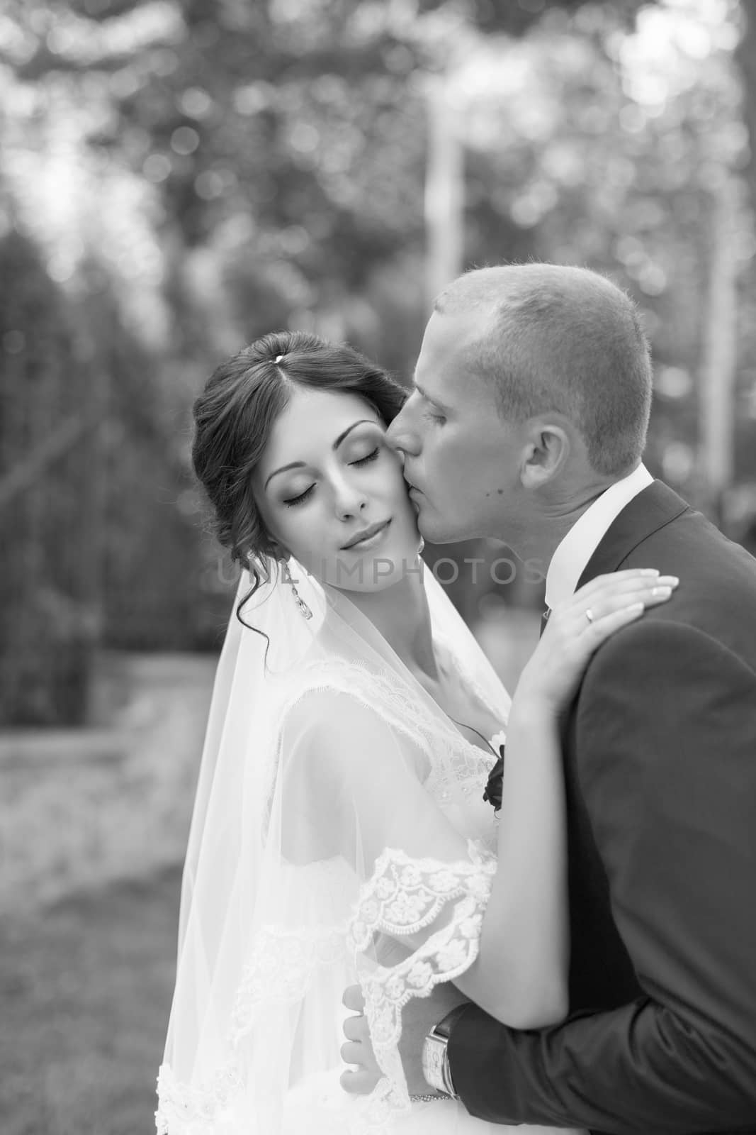 Gentle groom kiss by lanser314