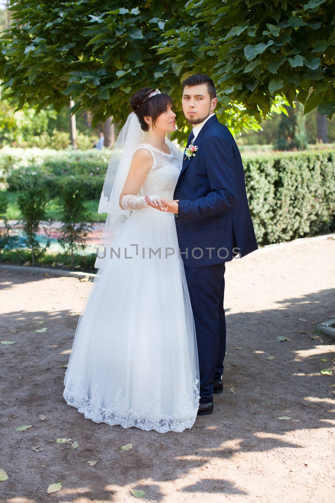 Stylish newlyweds on their wedding day by lanser314