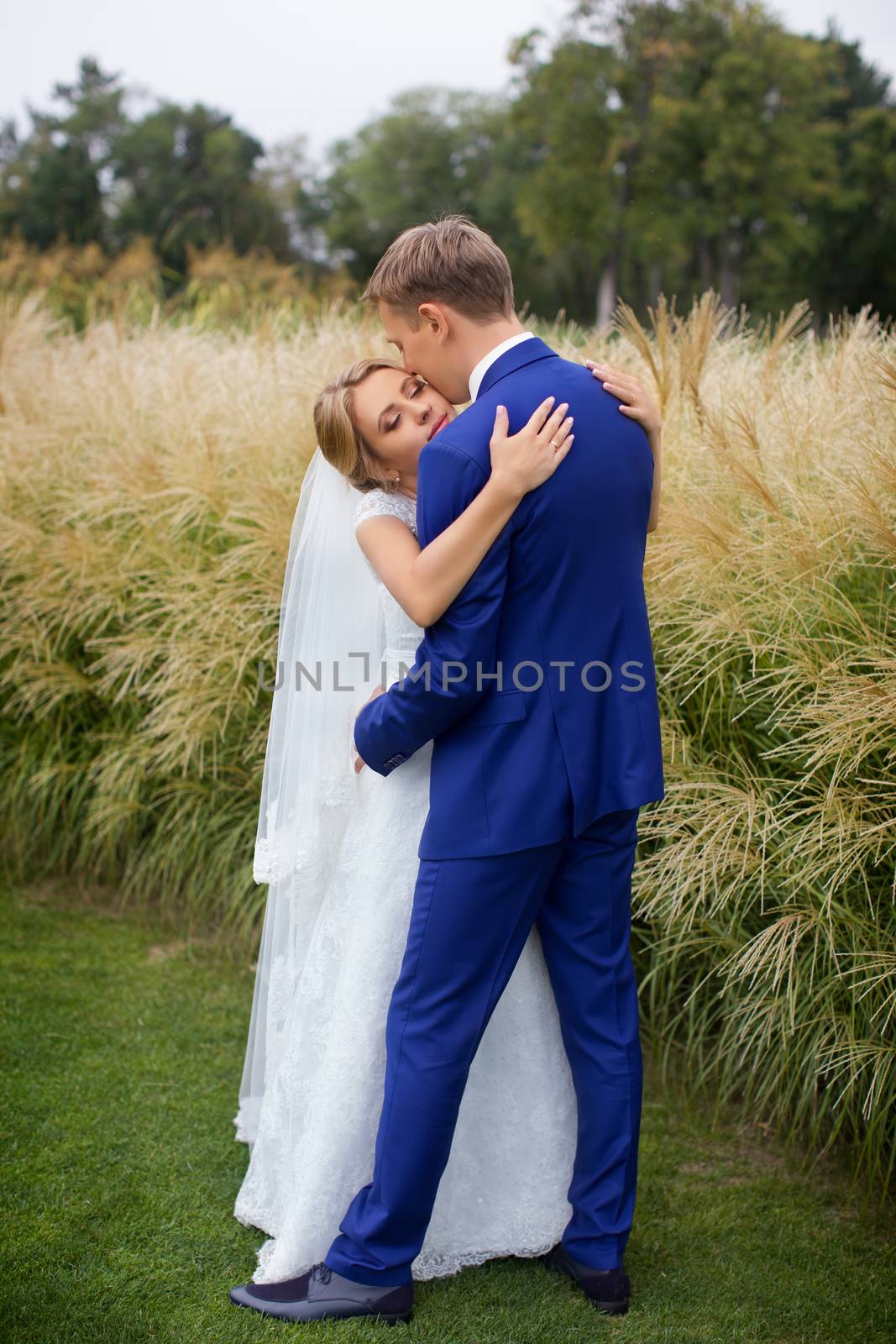 The groom gently hugged the bride