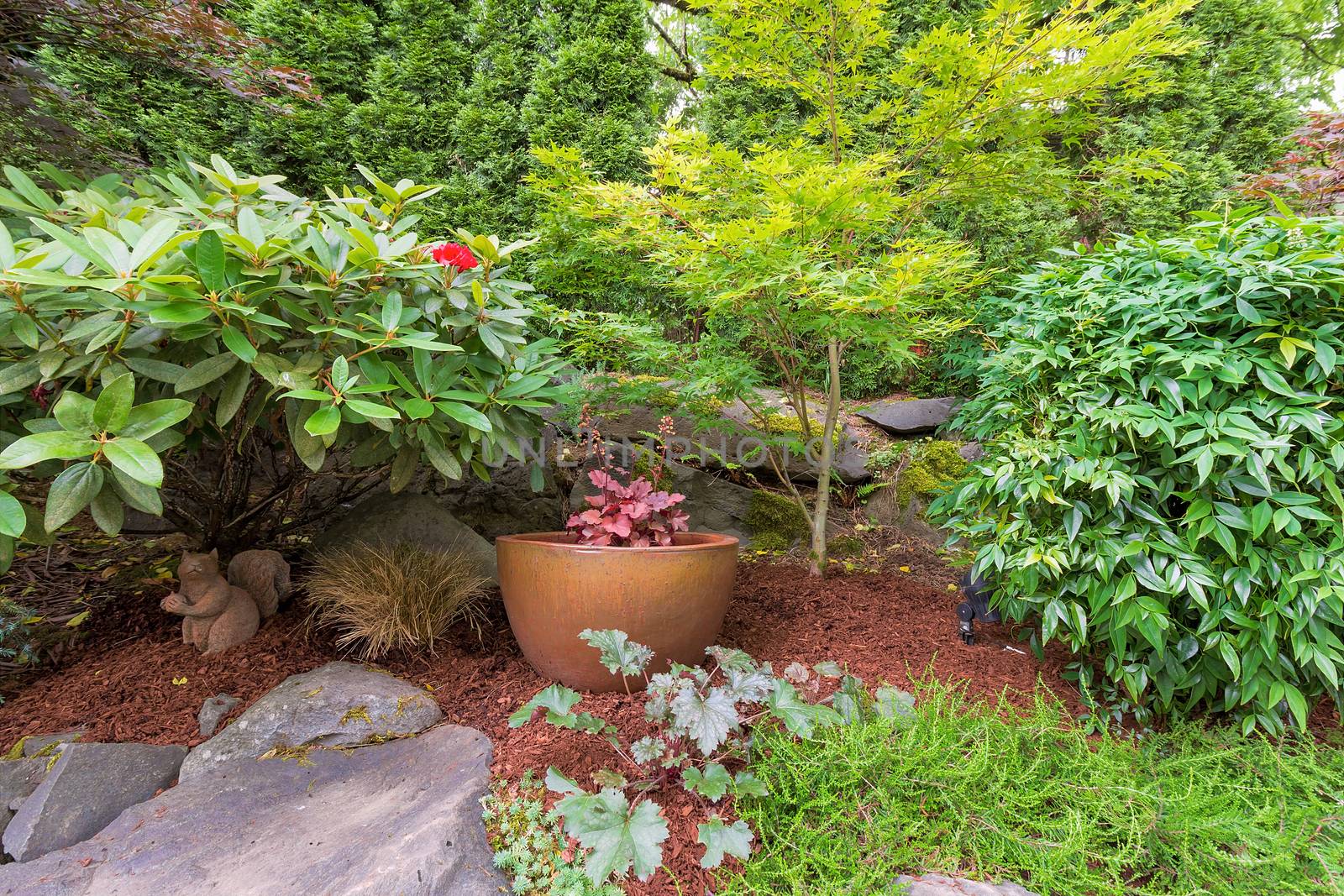 Backyard Garden landscaping gold container pot with plants shrubs trees rocks and bark dust