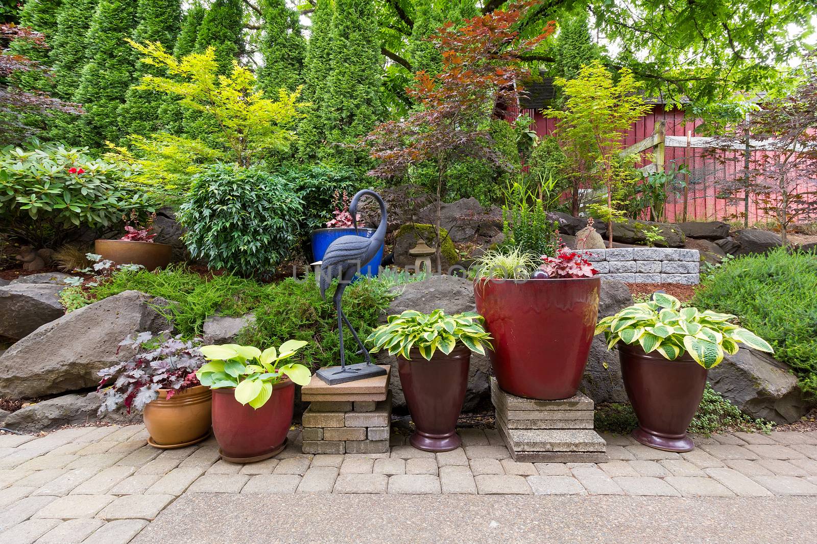 House Garden Backyard with hardscape and softscape with plants trees pavers stones colorful pots containers in landscaping