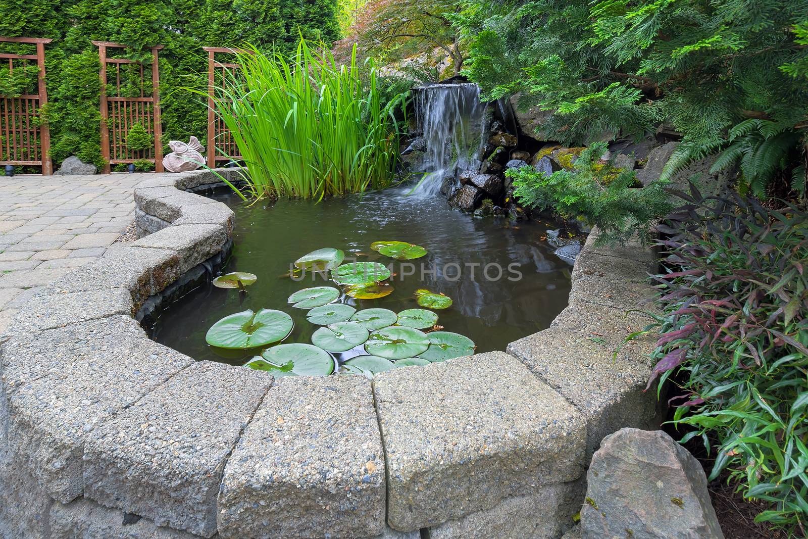 Garden Backyard pond with waterfall water plants brick paver patio trellis landscaping