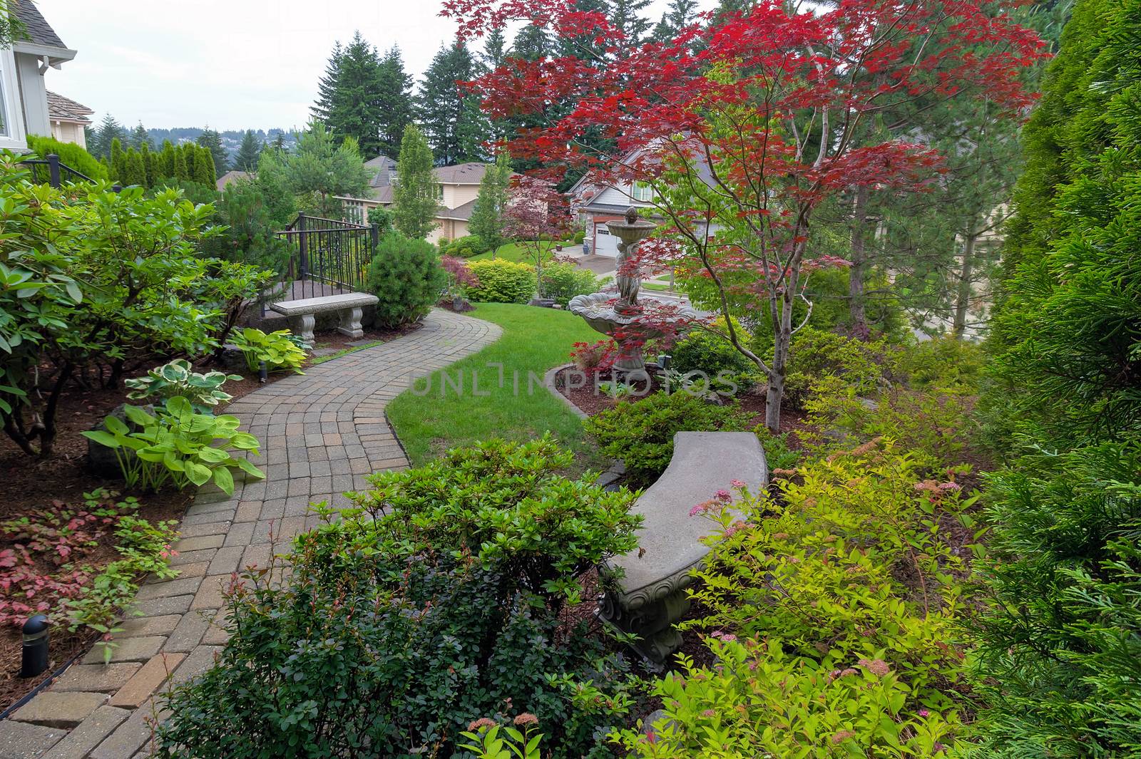 Garden brick paver path in frontyard with stone benches water fountain plants shrubs evergreen and deciduous trees landscaping