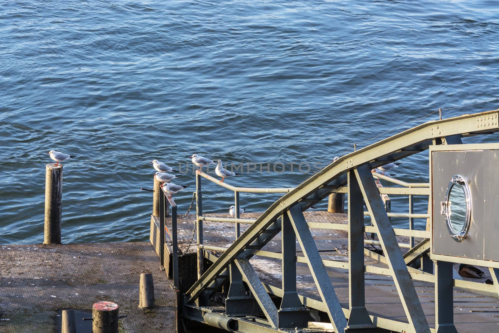 Boat landing stage on the Rhine in Duesseldorf, Germany.