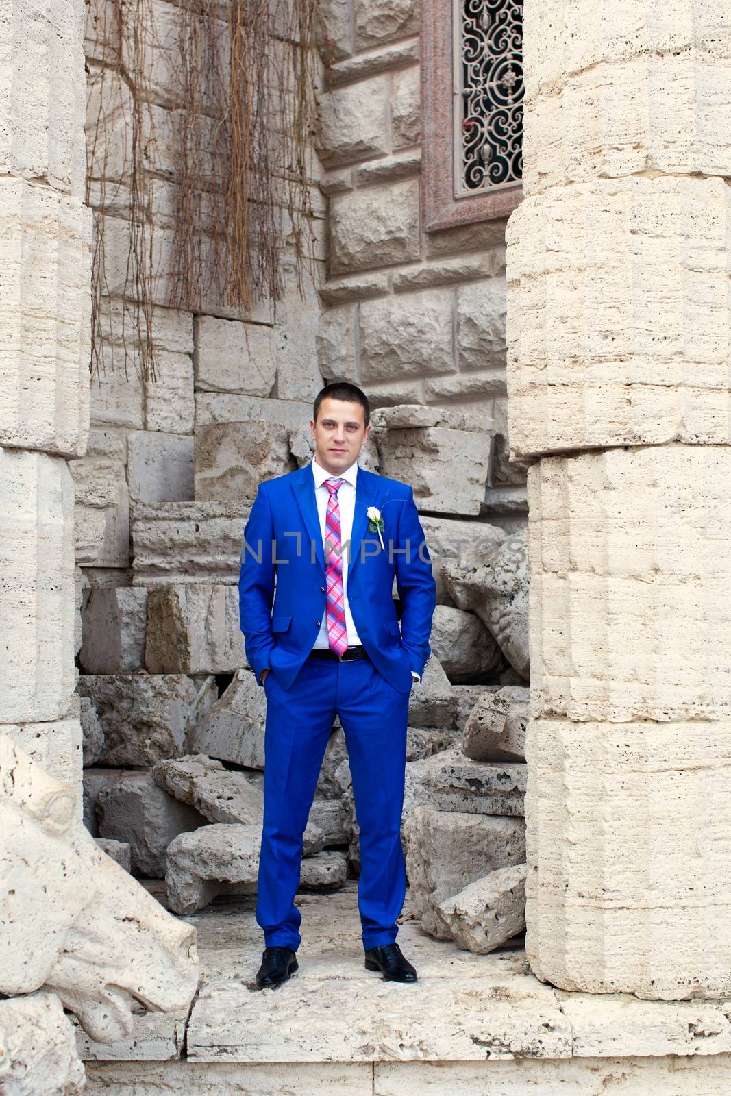 Elegant luxury wedding blue suit with bowtie on hanger tree closeup