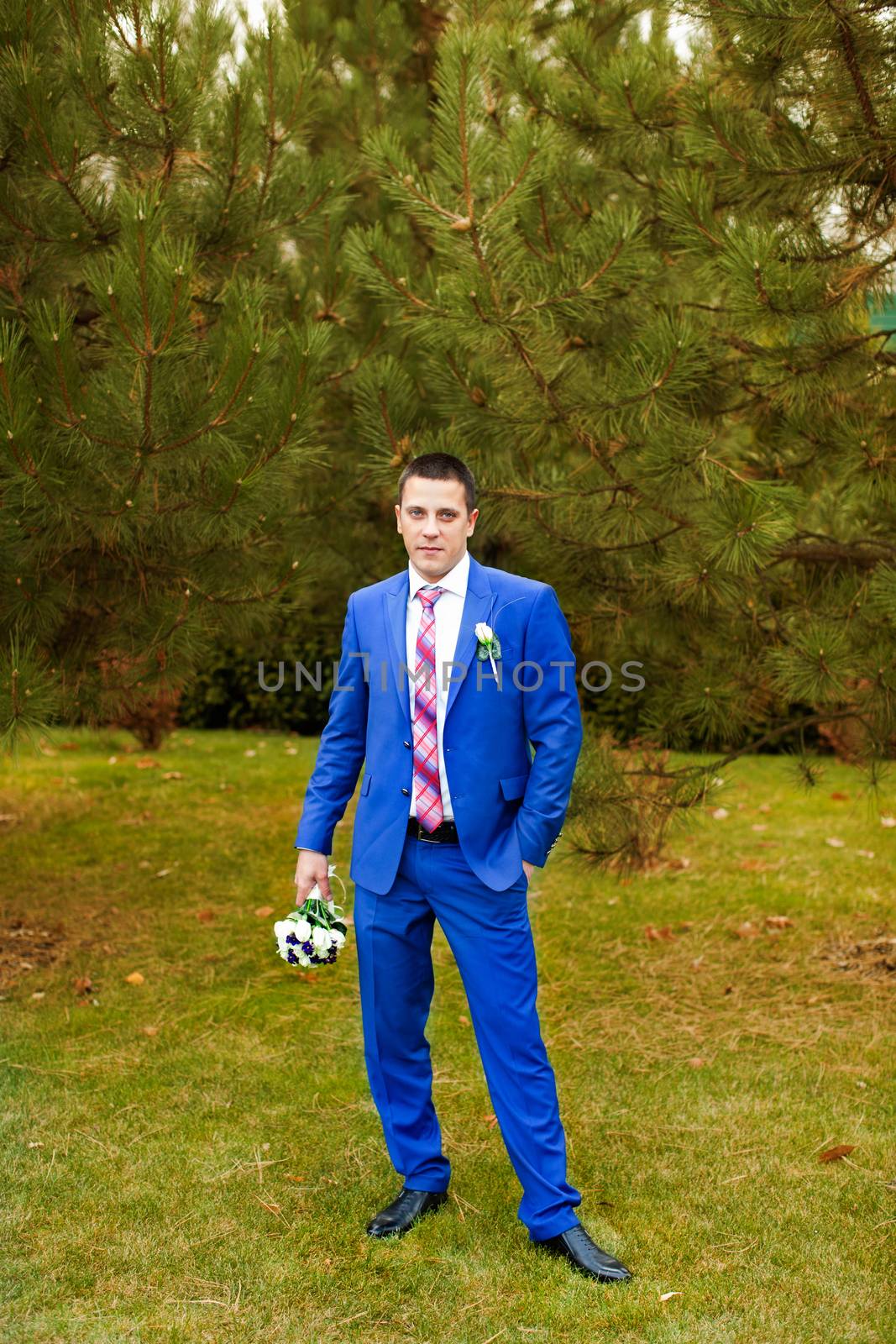 Elegant luxury wedding blue suit with bowtie on hanger tree closeup