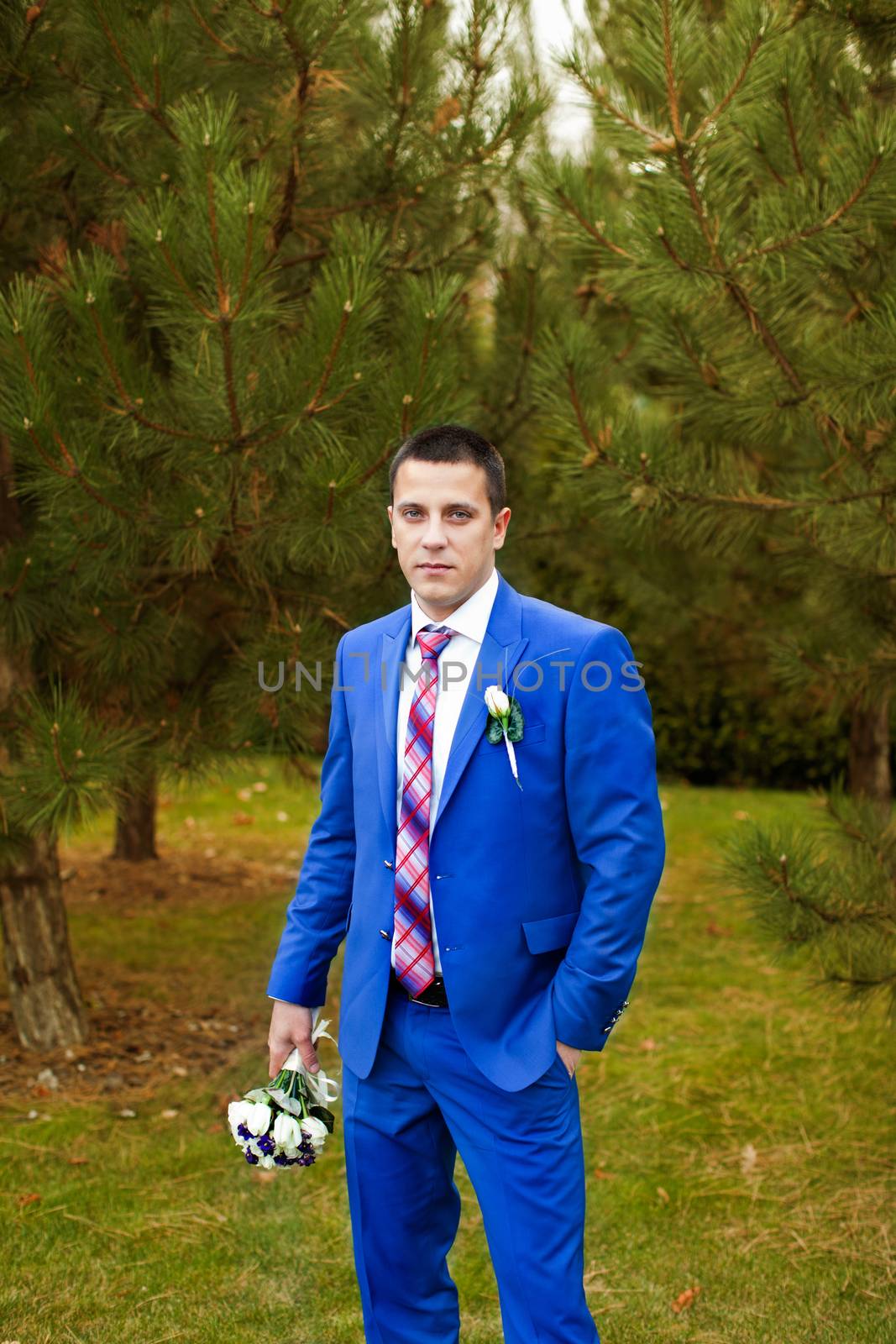 Elegant luxury wedding blue suit with bowtie on hanger tree closeup