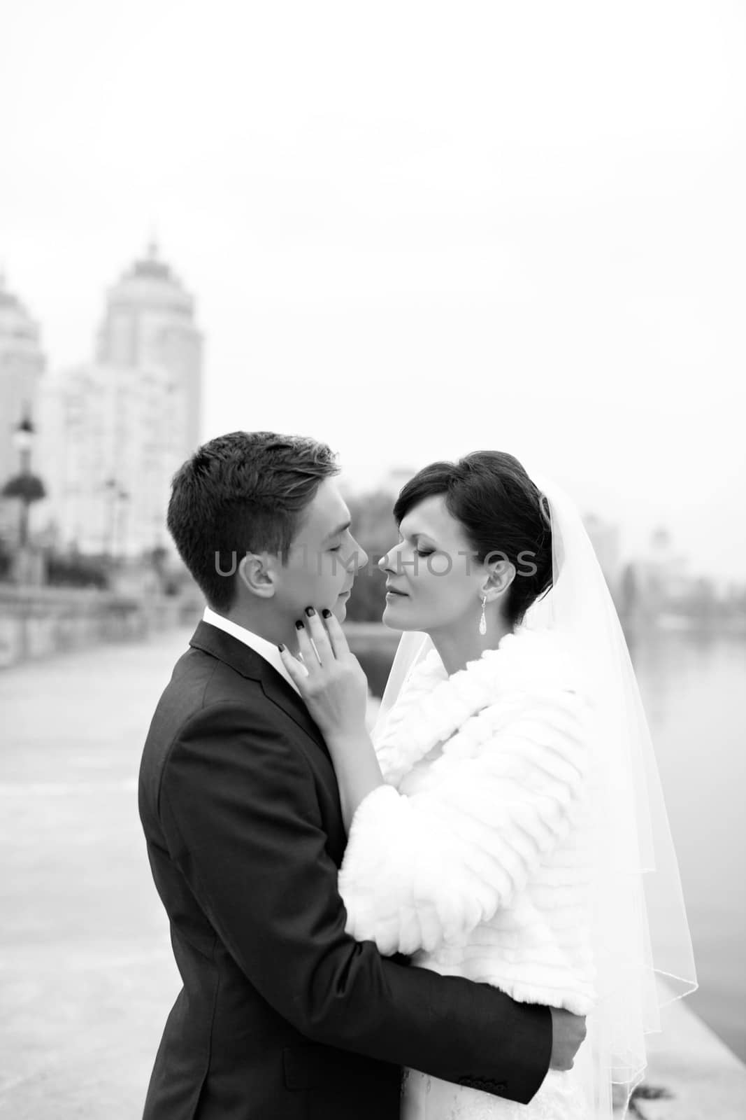 The groom gently touched to the bride