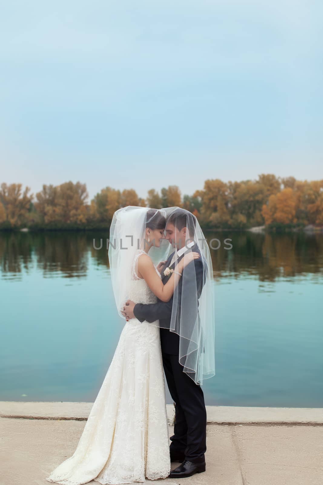 groom gently touched to the bride on a pier near the sea