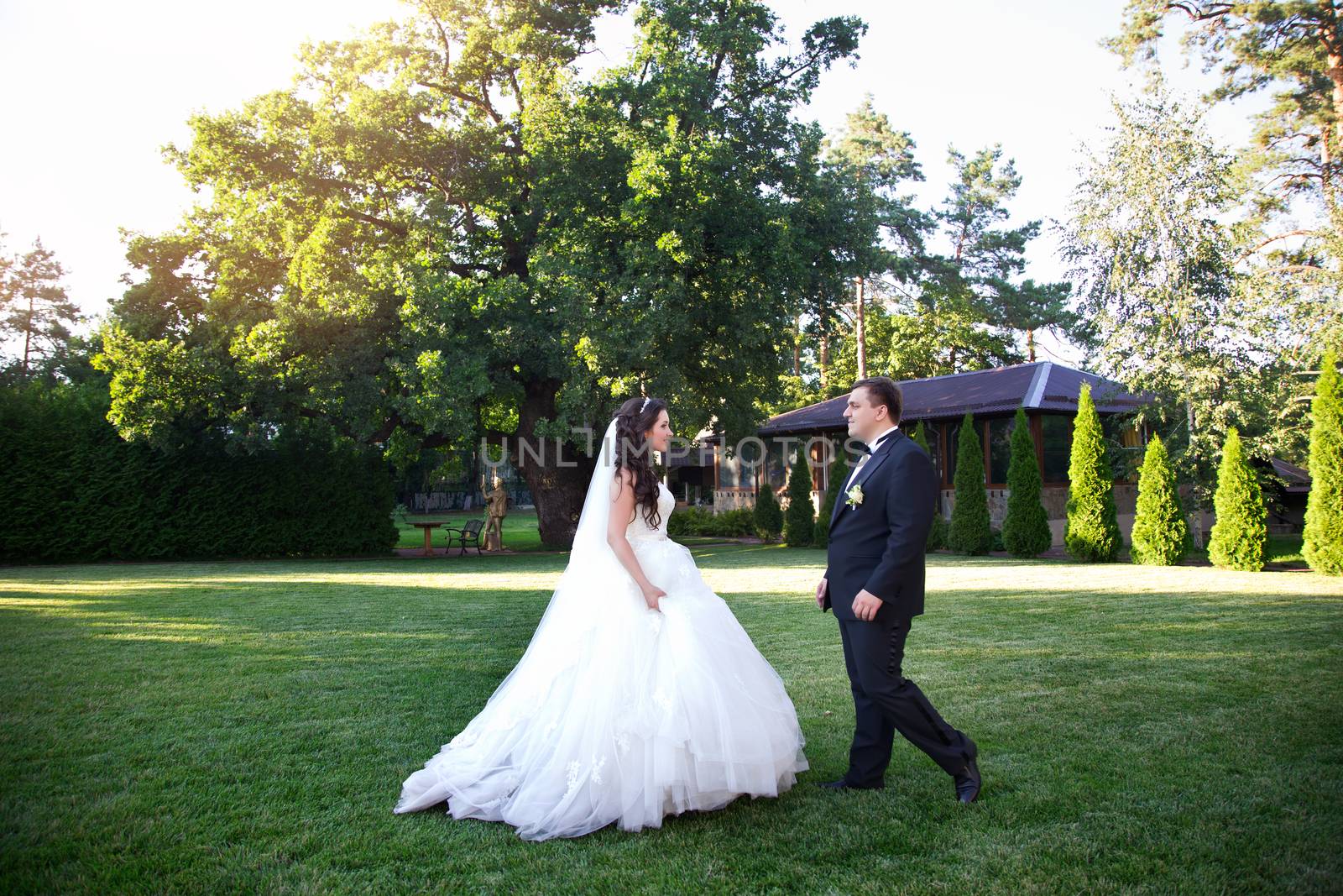 Newlyweds dancing in the meadow by lanser314