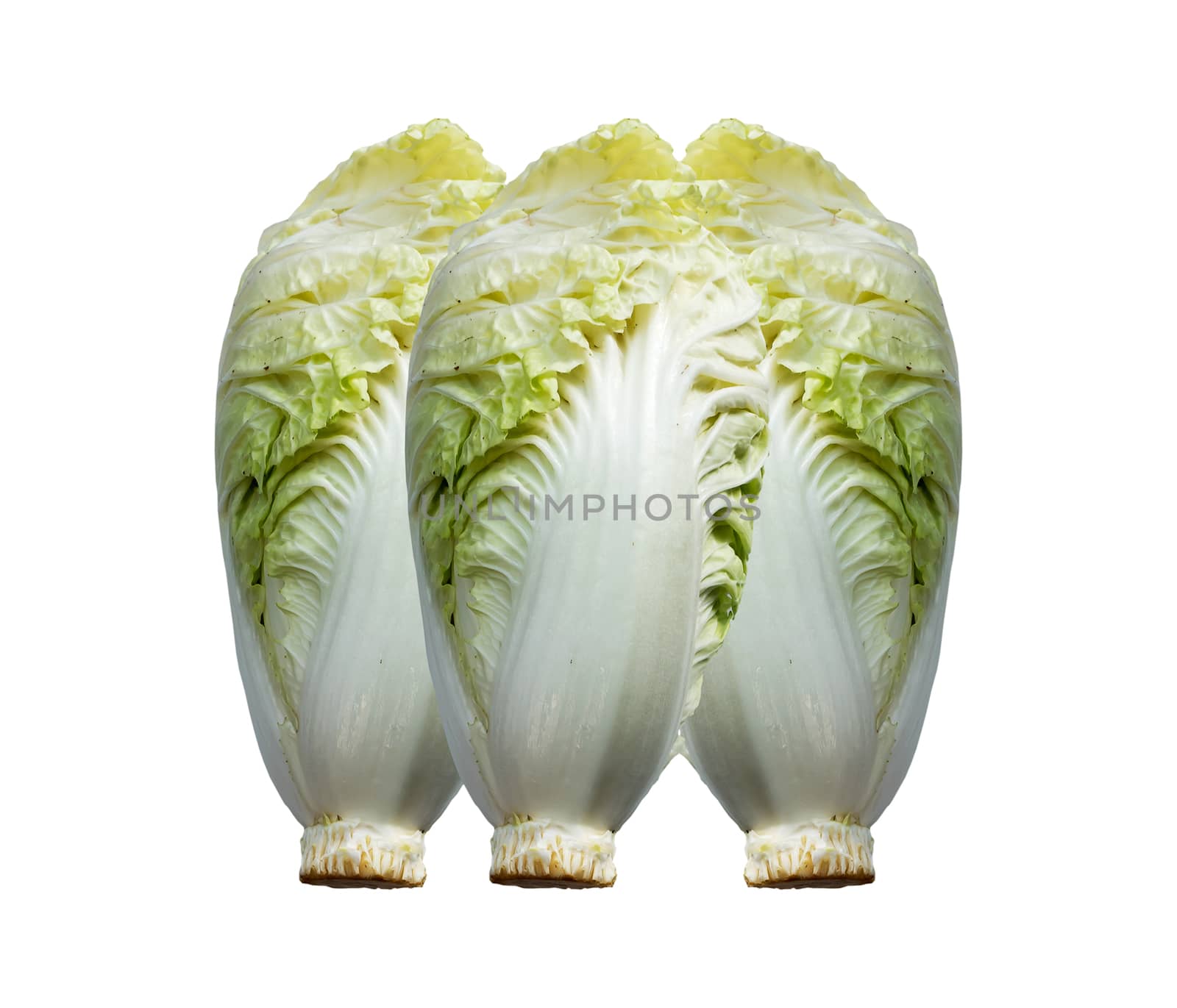 fresh chinese cabbage on a white background