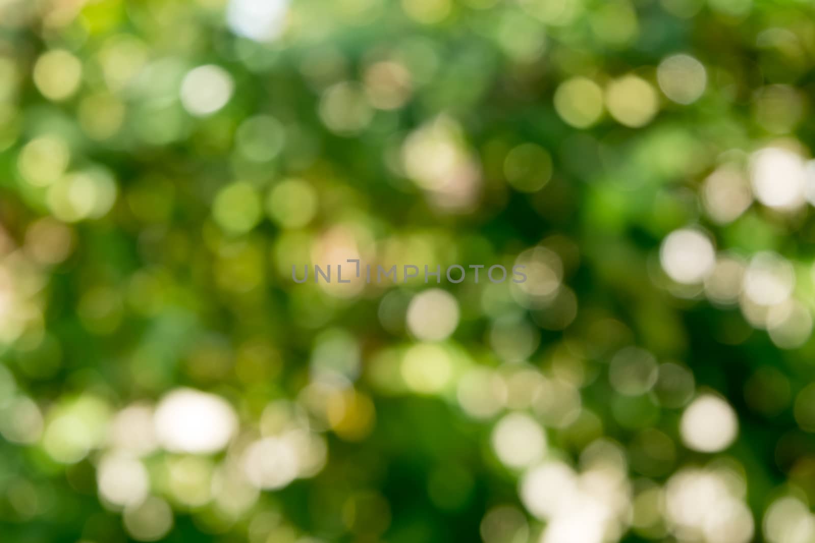 abstract background bokeh