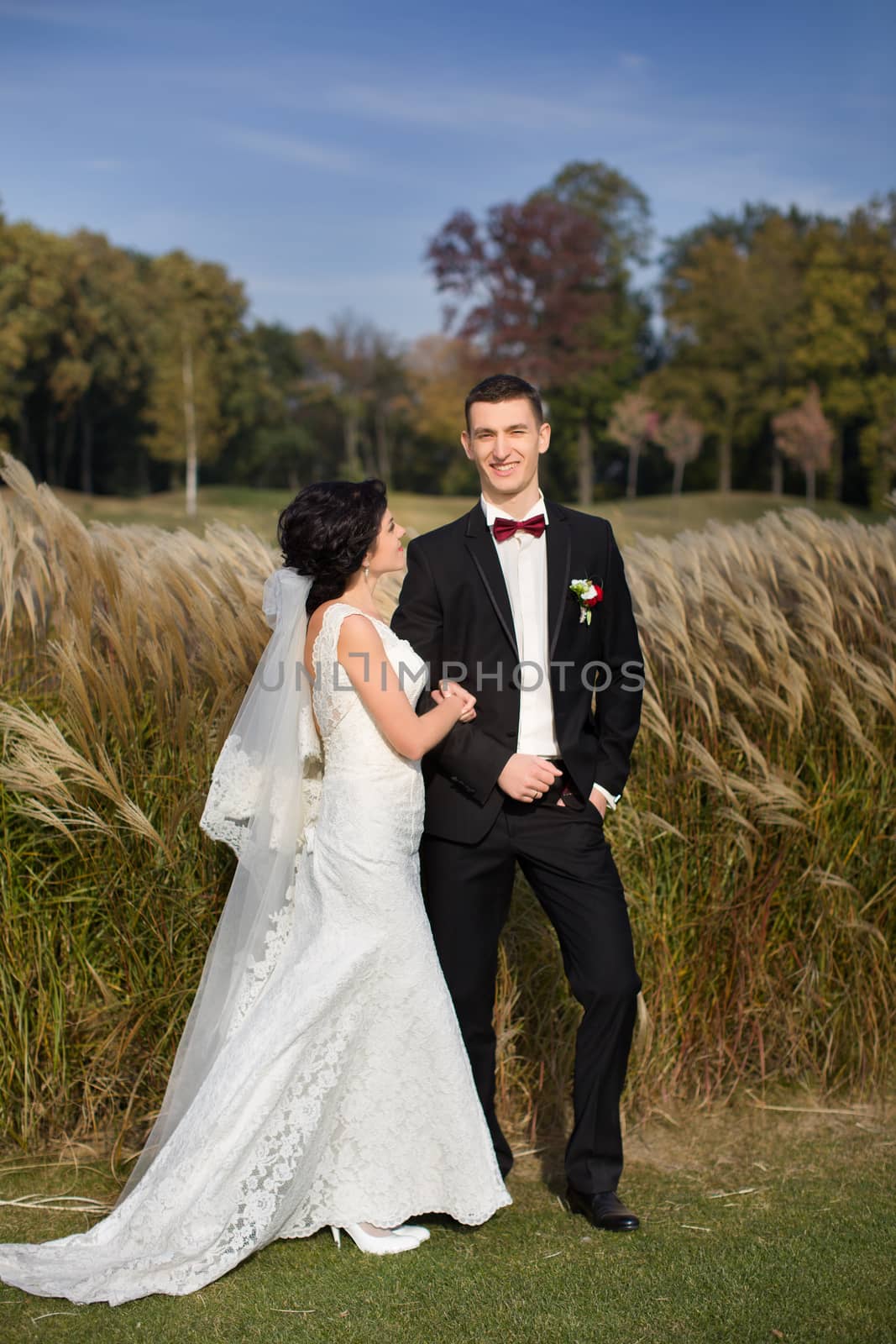  Beautiful bride and groom. Just merried.  by lanser314