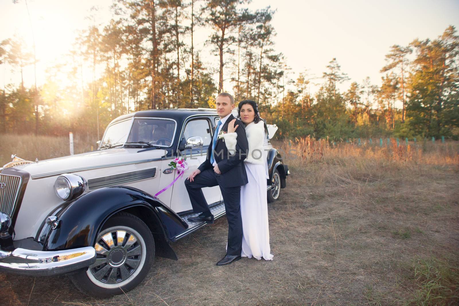 The bride and groom in wedding day for a walk by lanser314