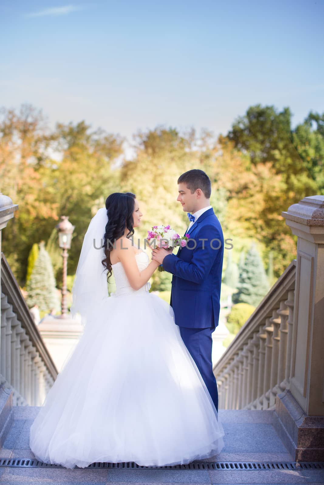 The bride and groom for a walk by lanser314