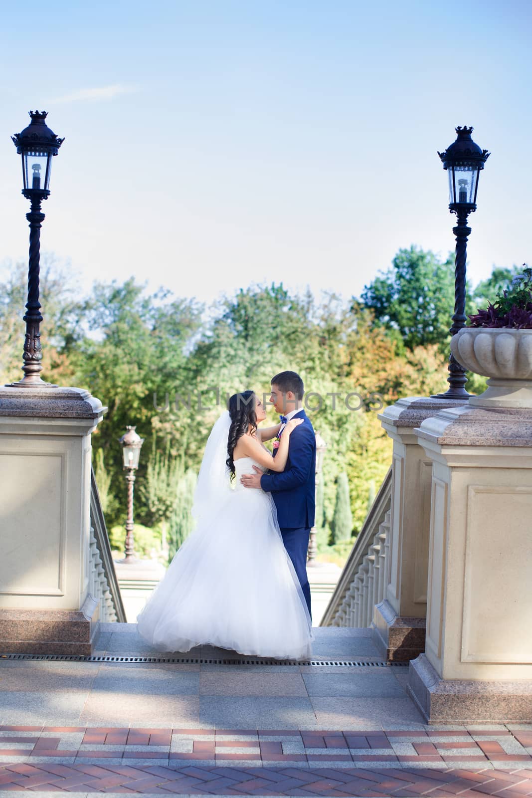 The bride and groom for a walk by lanser314