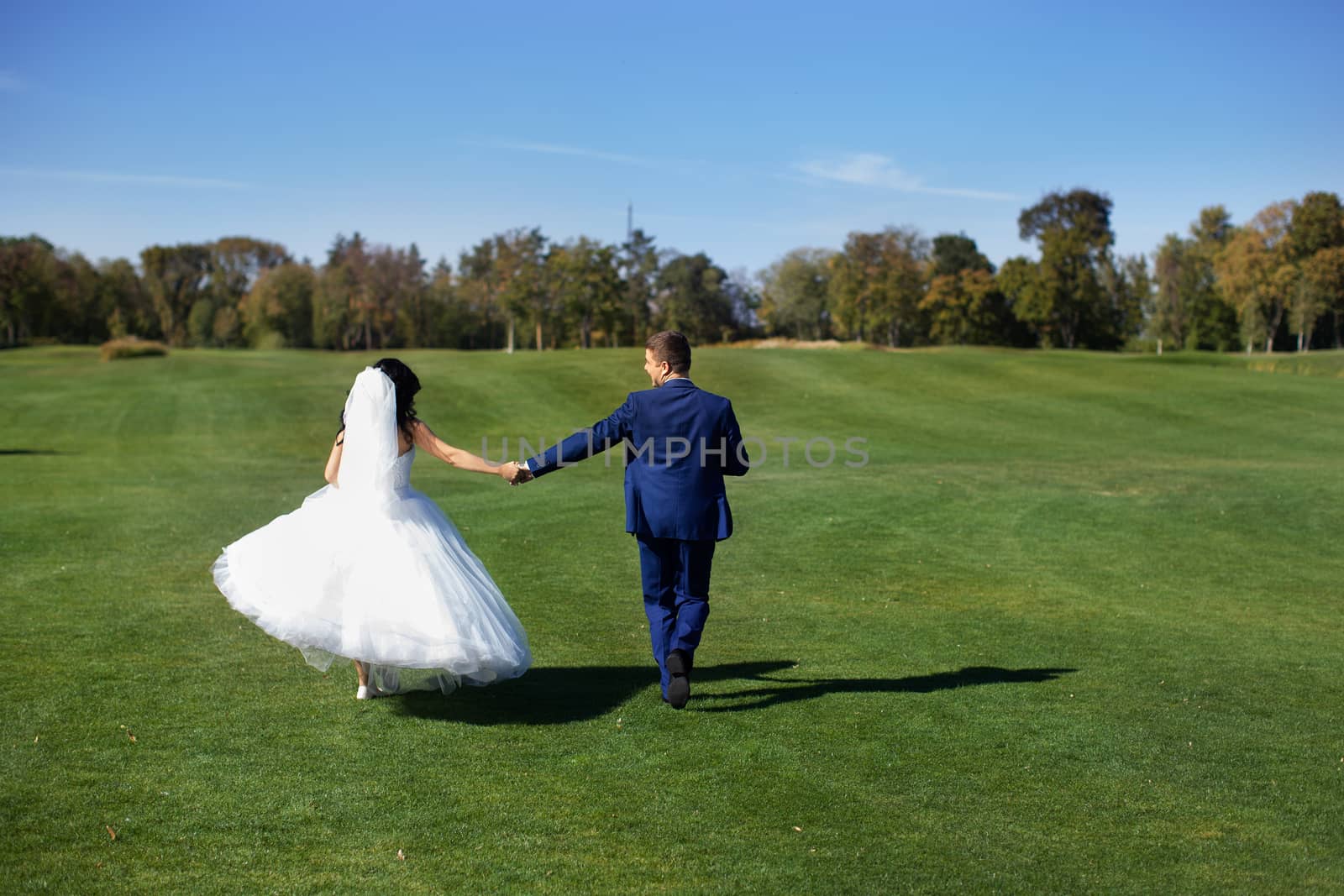 The bride and groom for a walk by lanser314