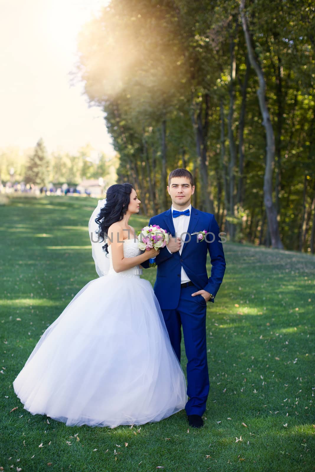 The bride and groom for a walk by lanser314