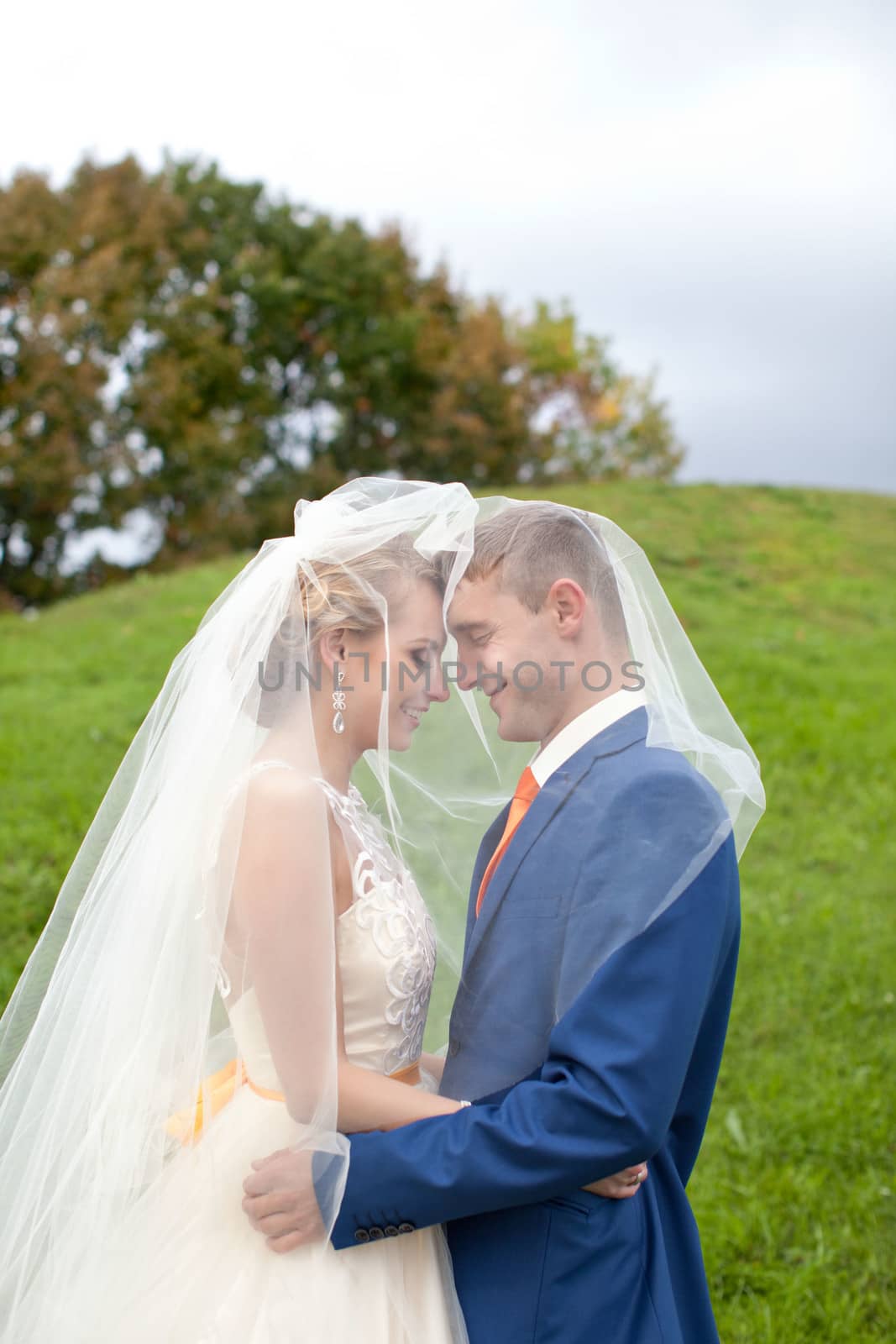 Newlyweds walks away outdoors. Railroad in the forest