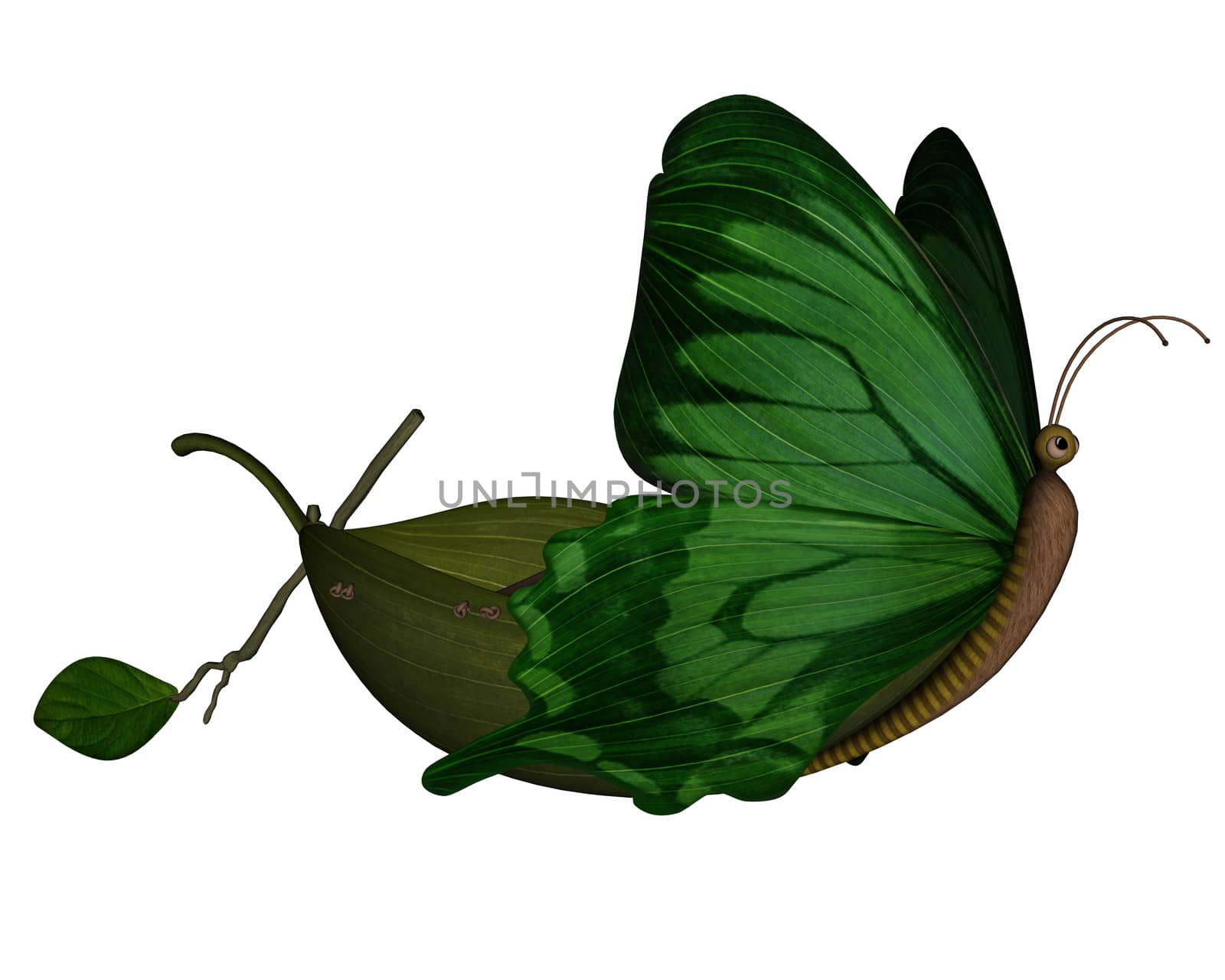 Cute butterfly boat isolated in white background - 3D render