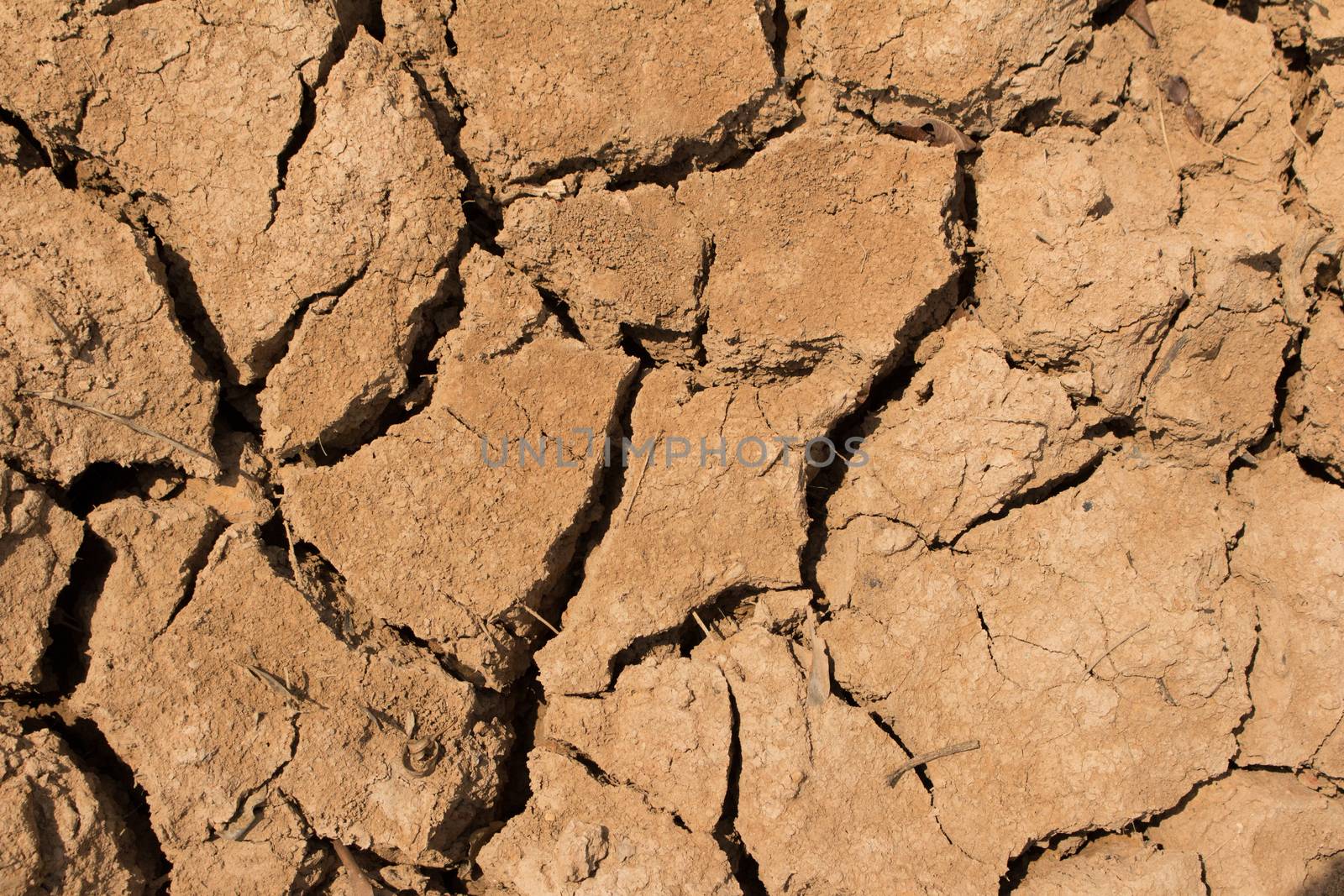 The dry cracked earth in the dried up stream bed of the pond