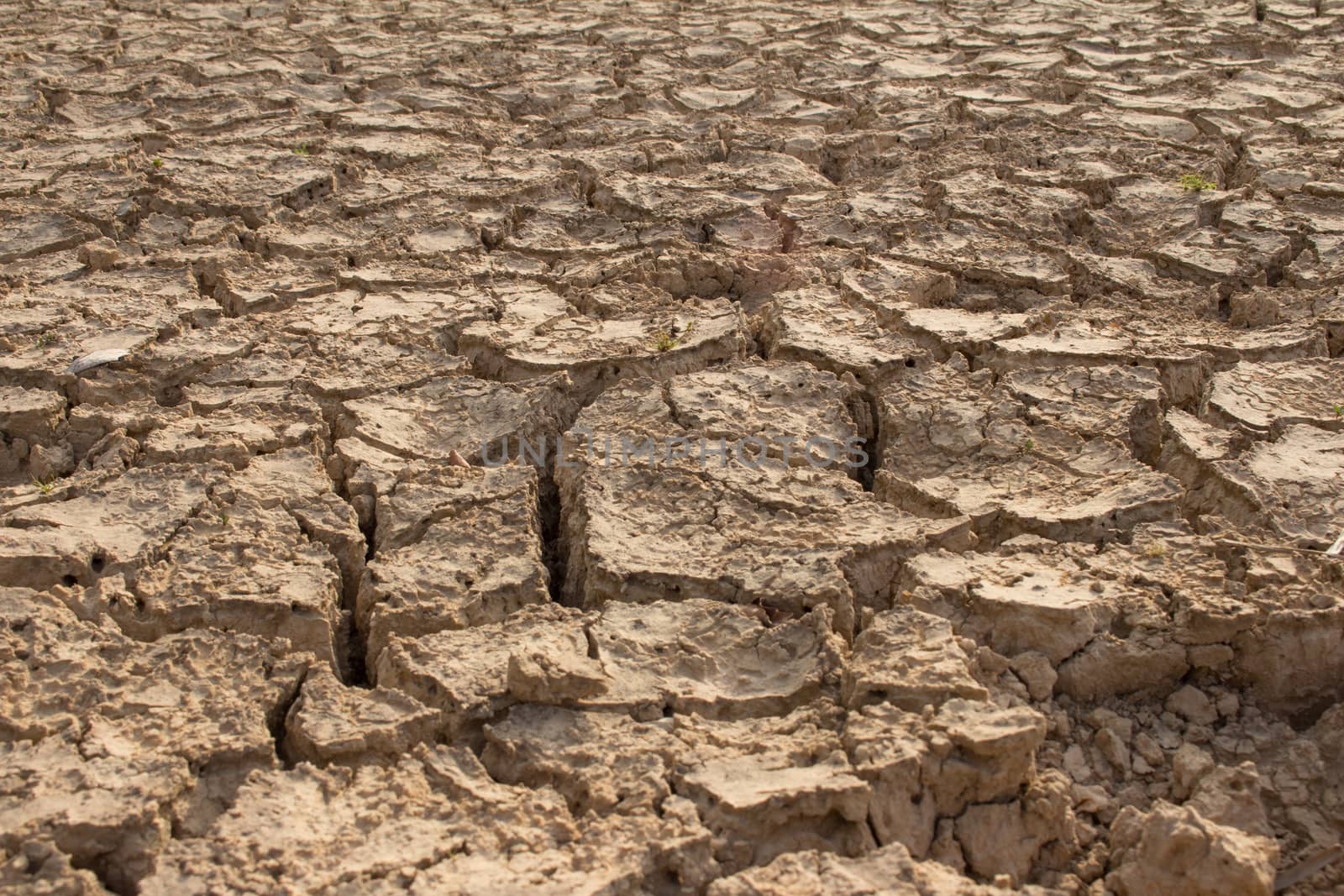 Dry cracked earth background, clay desert texture