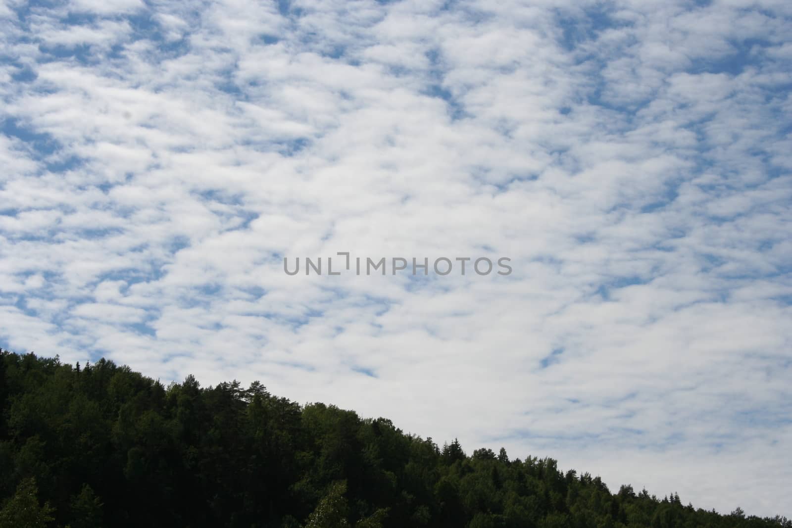 mountain forest and sky