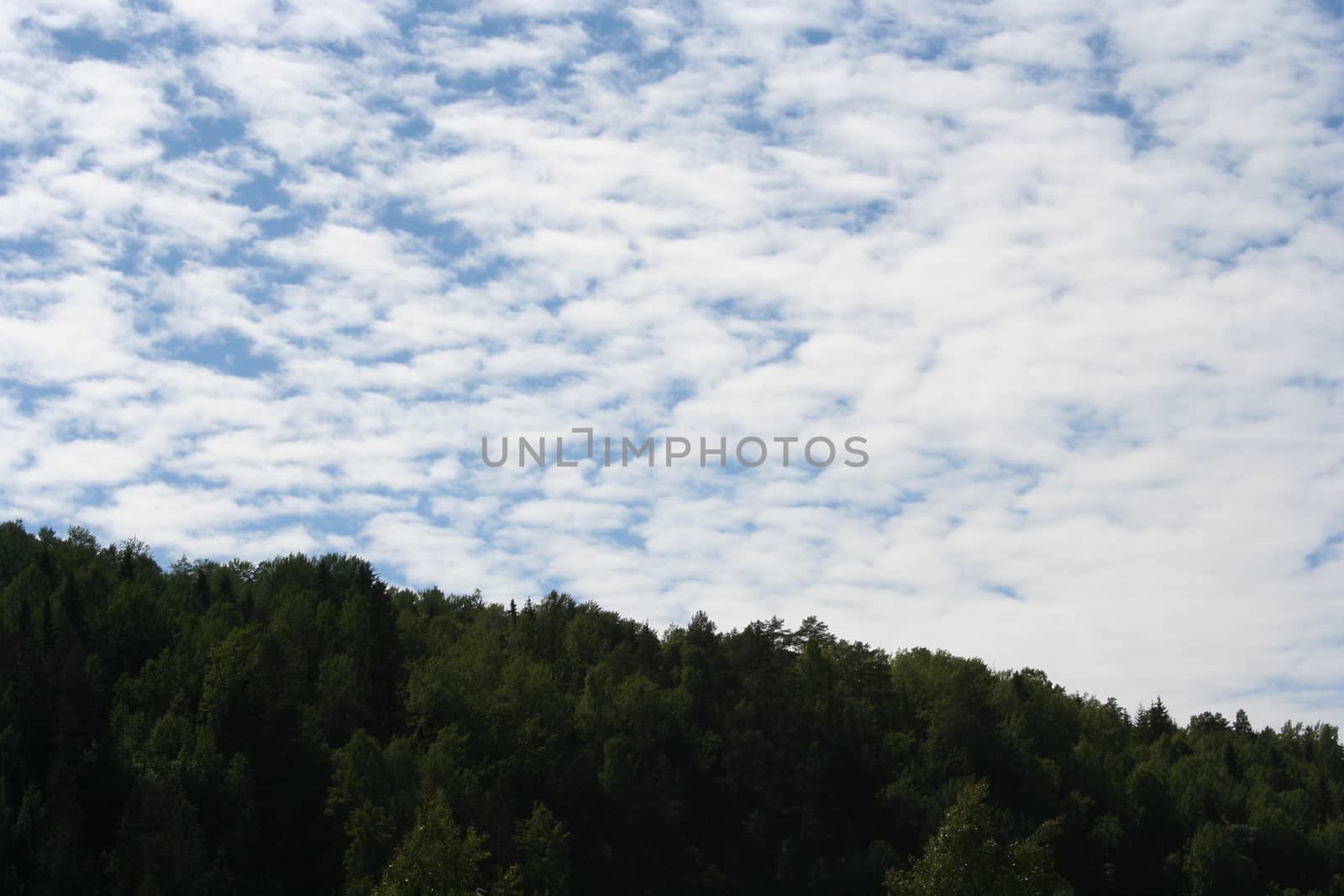 mountain forest and sky by elin_merete
