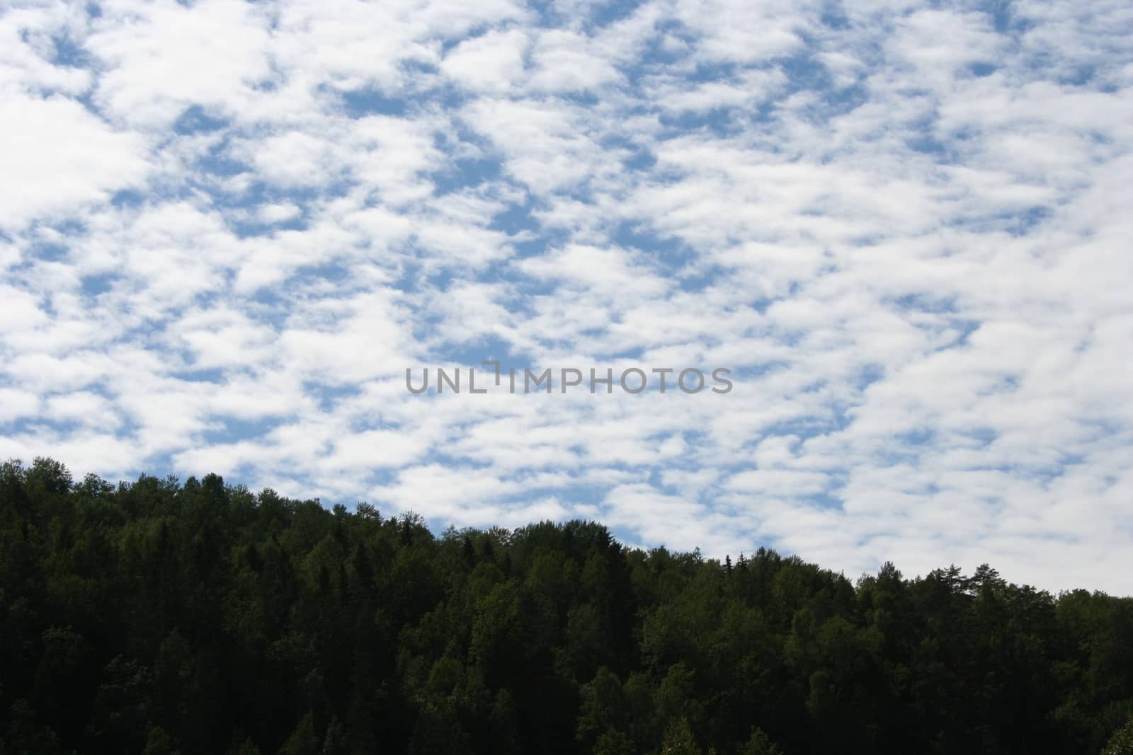 mountain forest and sky by elin_merete