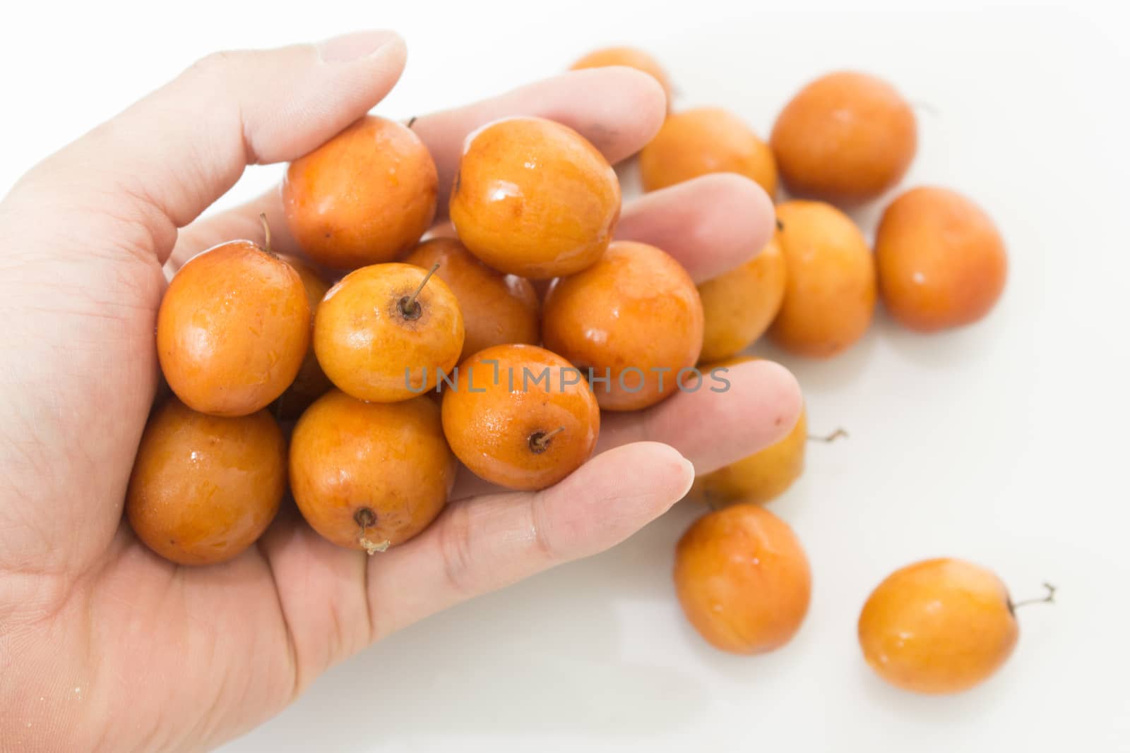 jujube or chinese date on white background