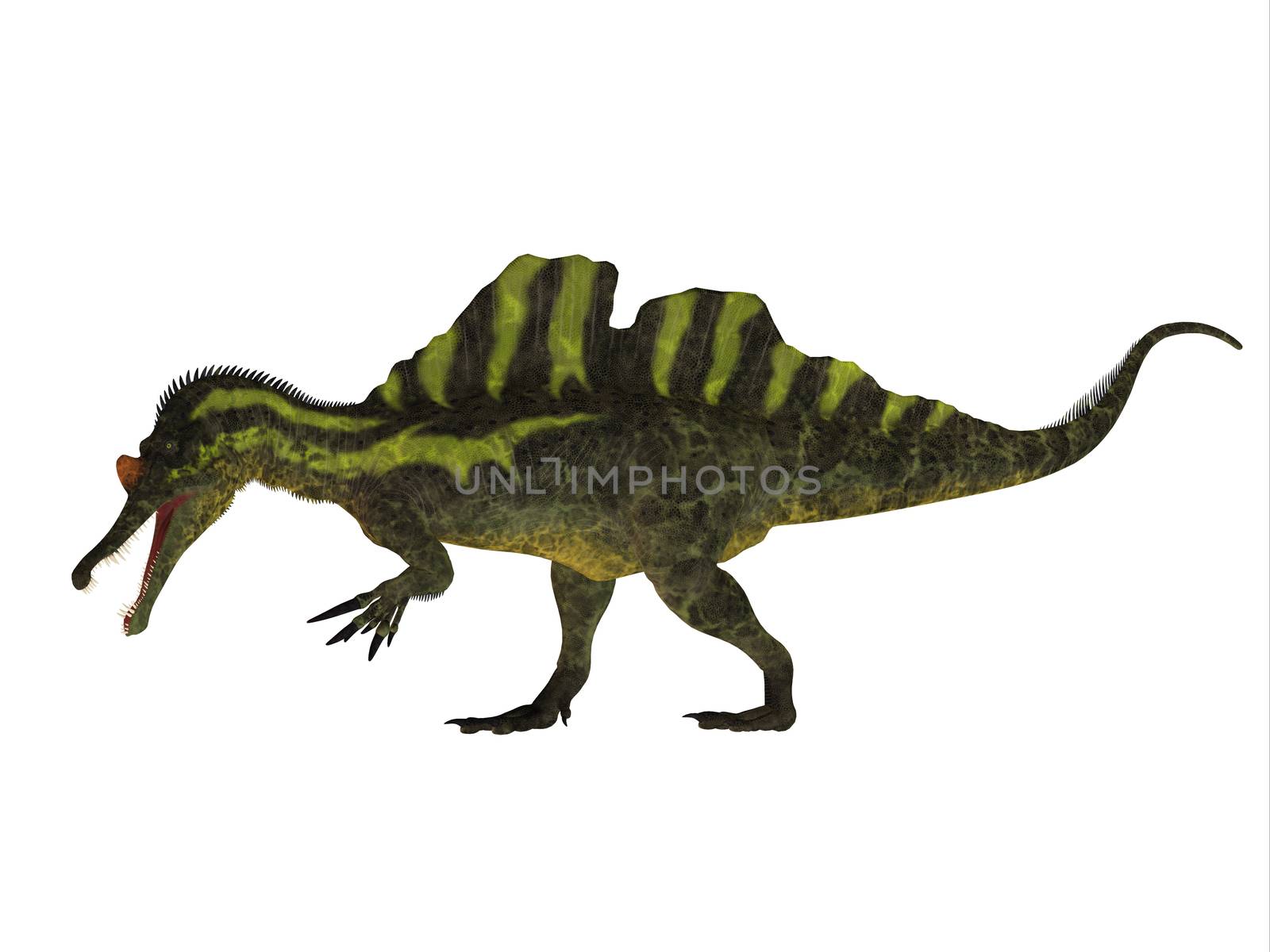 Ichthyovenator Side Profile by Catmando