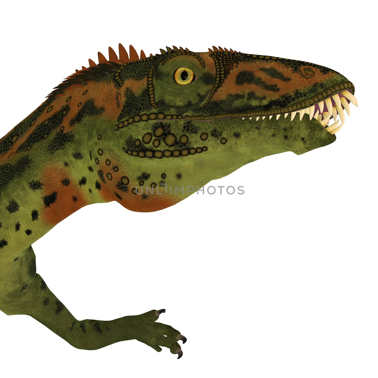 Masiakasaurus was a theropod dinosaur that lived in Madagascar during the Cretaceous period.