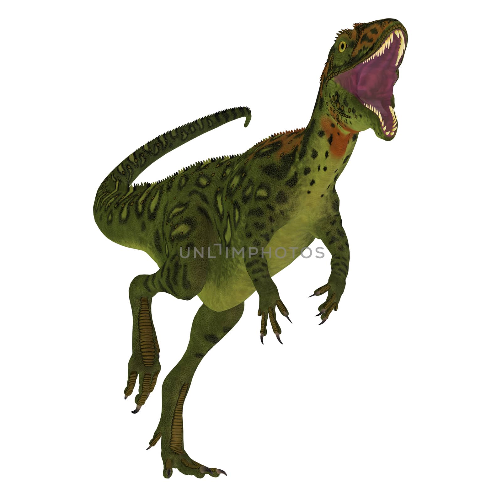 Masiakasaurus was a theropod dinosaur that lived in Madagascar during the Cretaceous period.