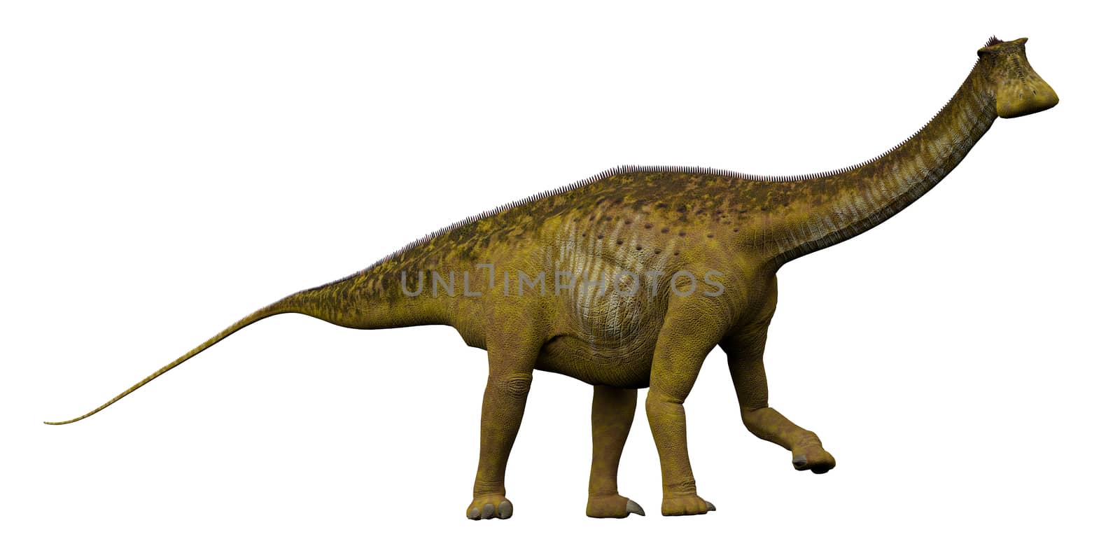 Nigersaurus Side Profile by Catmando
