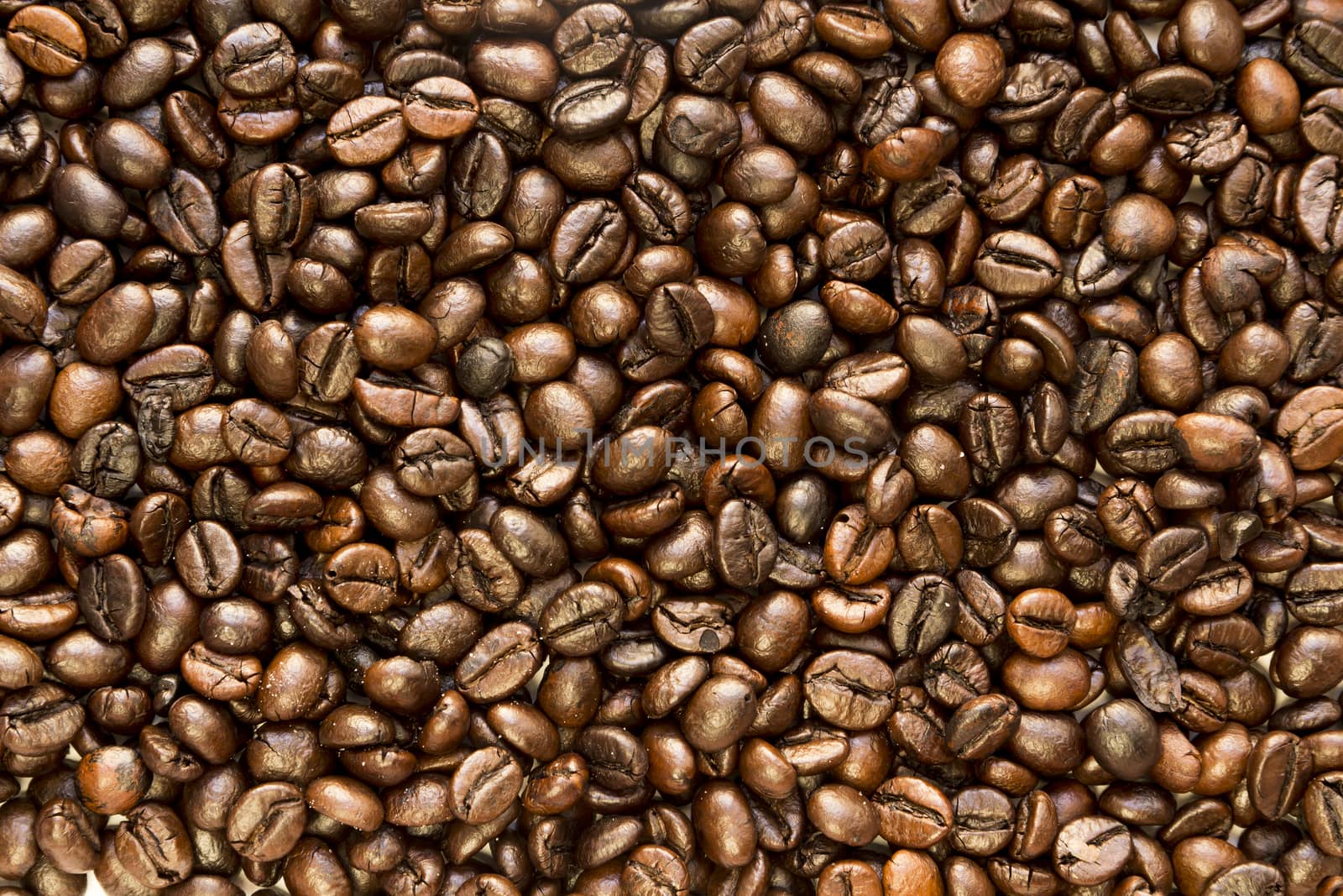 the texture of the coffee beans roasted Brown background