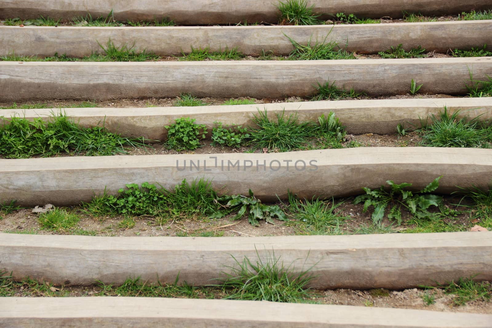 Wooden stair outside with weed between steps