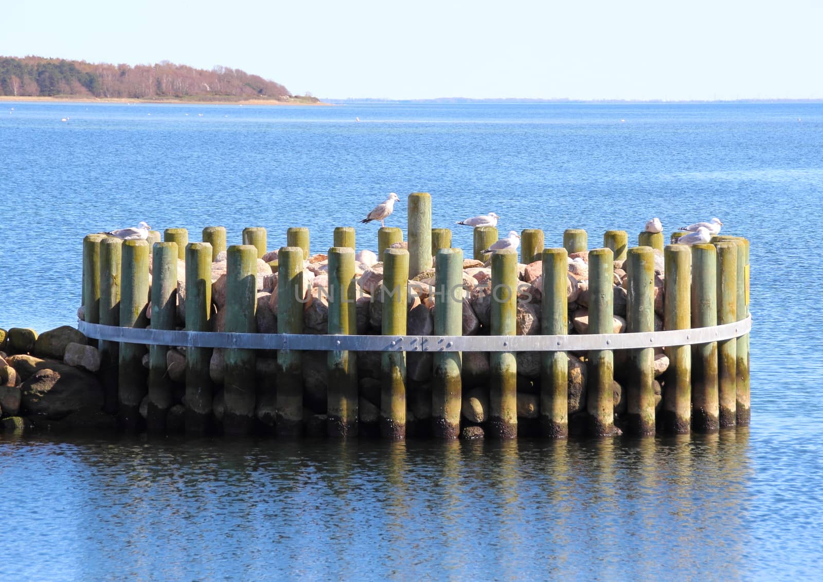 Isolated breakwater mole with resting  seagulls