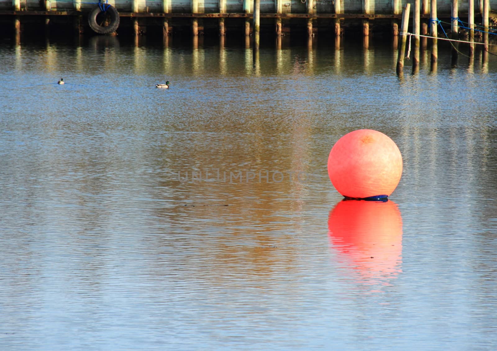 Red maritime ball marker with reflection and mole in background