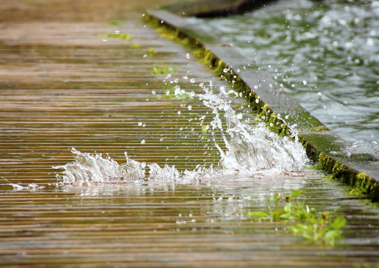 Water on a wooden trail comming from below