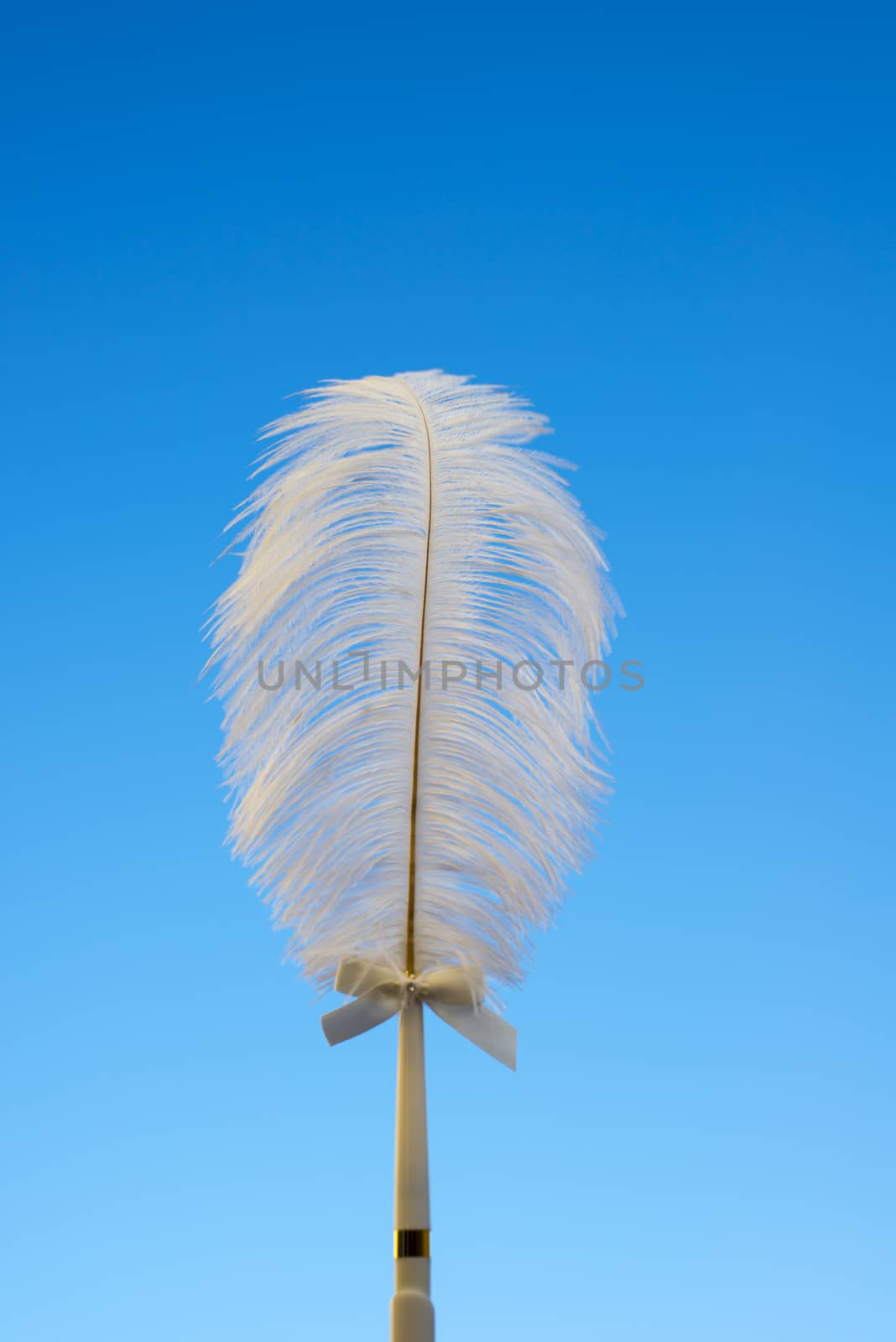 sky blue background with a white feather